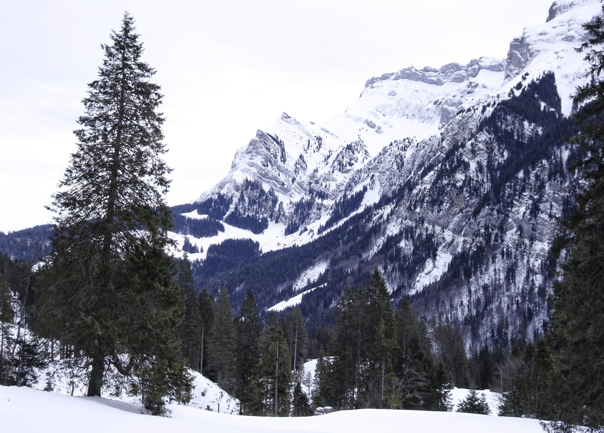 Schweiz, Luzern, Eigenthal, Winterwanderung Pilatus, Schneeschuhwandern