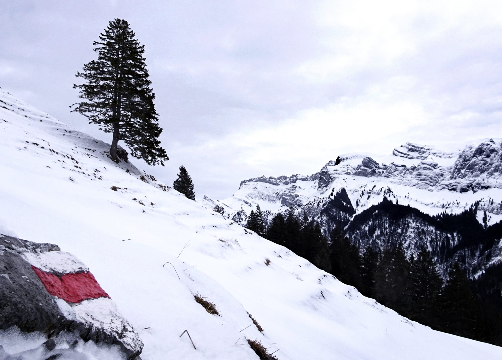 Schweiz, Luzern, Eigenthal, Winterwanderung Pilatus, Schneeschuhwandern