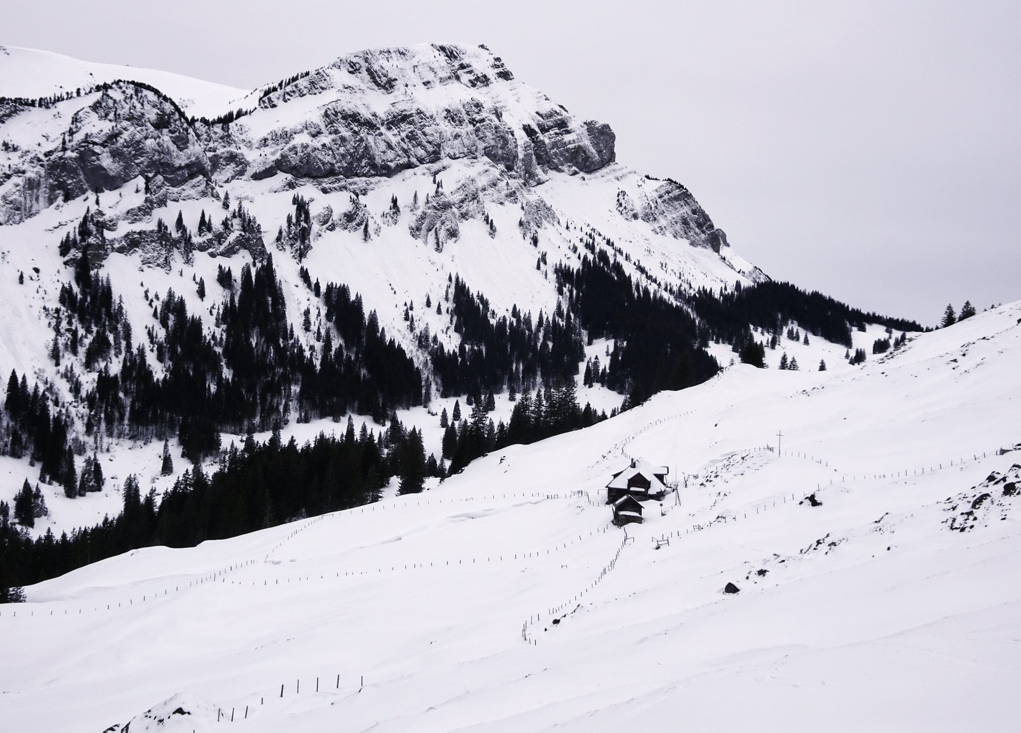 Schweiz, Luzern, Eigenthal, Winterwanderung Pilatus, Schneeschuhwandern