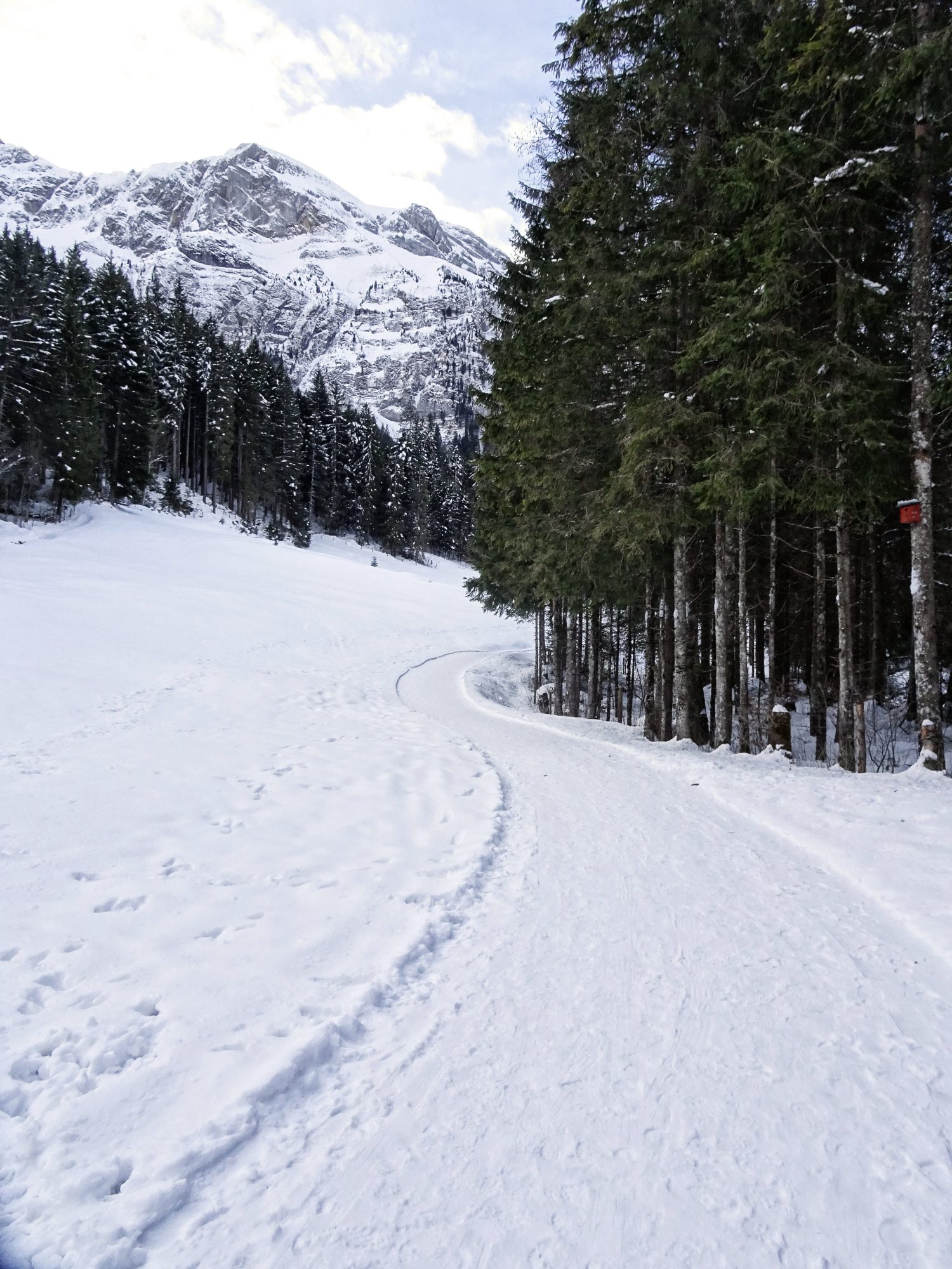 Schweiz, Luzern, Eigenthal, Winterwanderung Pilatus, Schneeschuhwandern