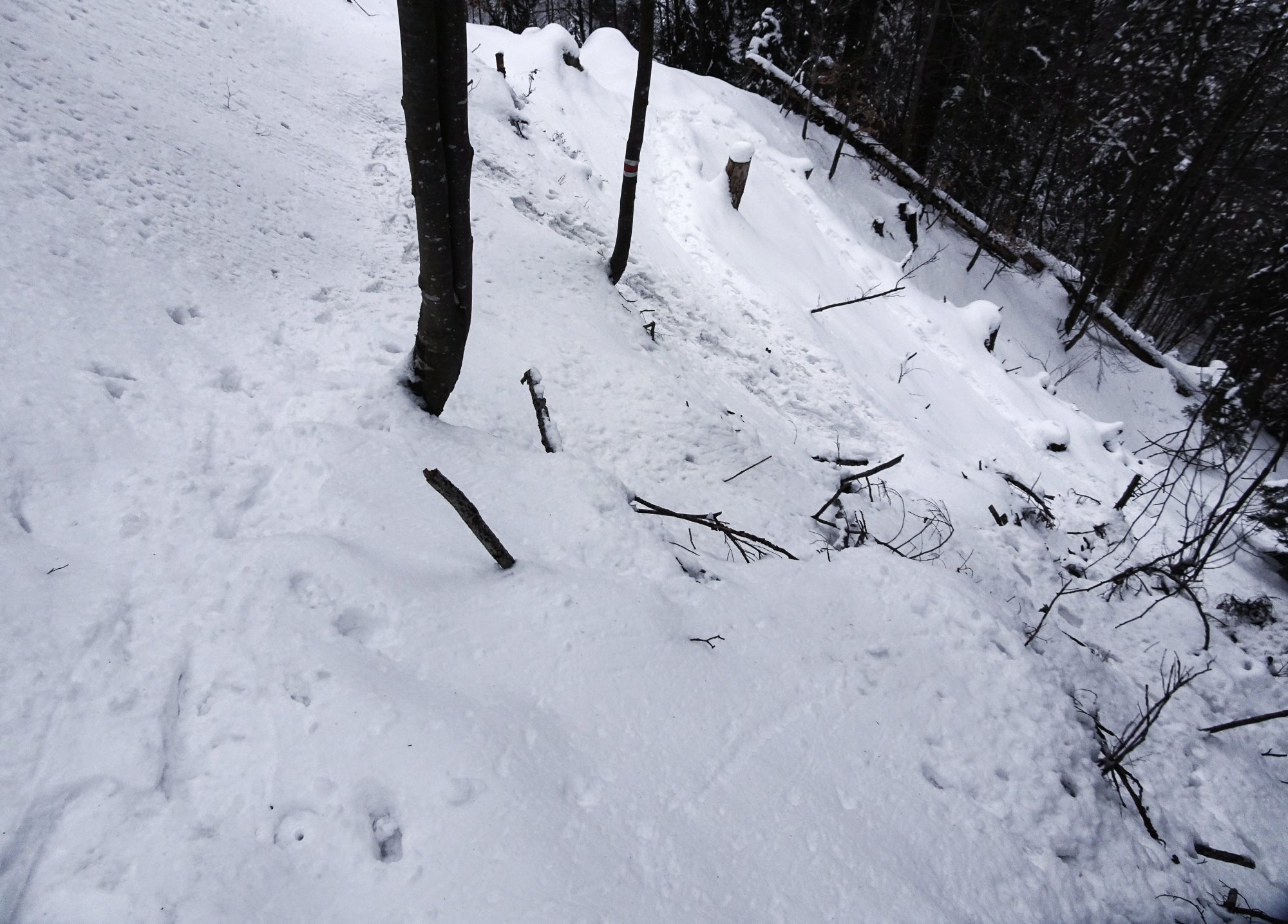 Schweiz, Luzern, Eigenthal, Winterwanderung Pilatus, Schneeschuhwandern
