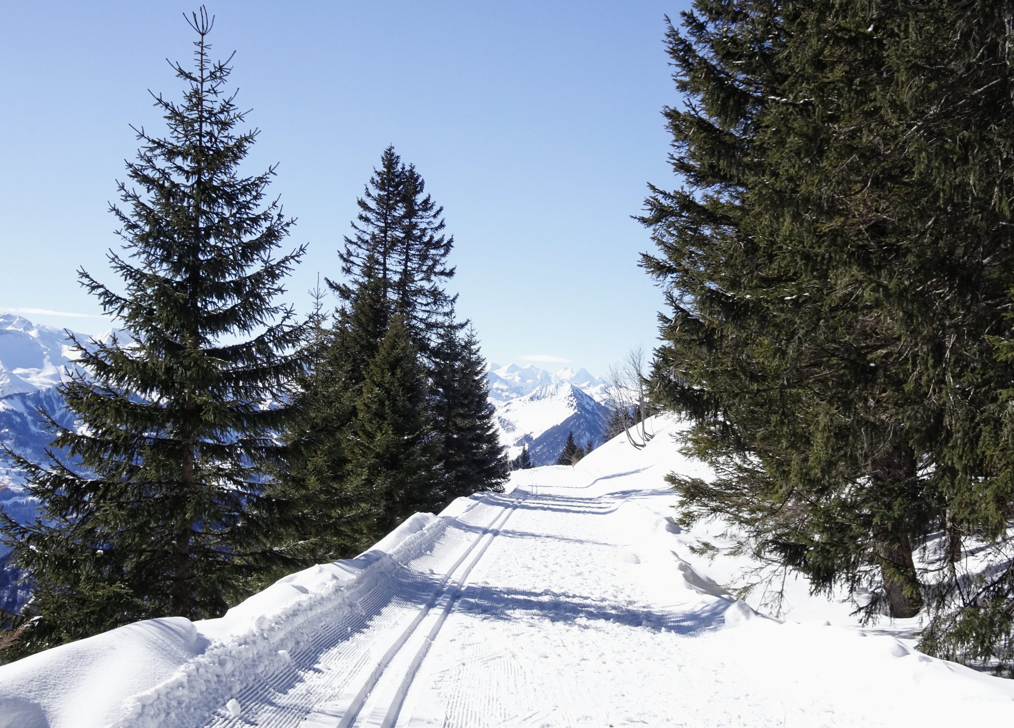 Schweiz, Luzern, Zürich, Rigi, Winterwanderung