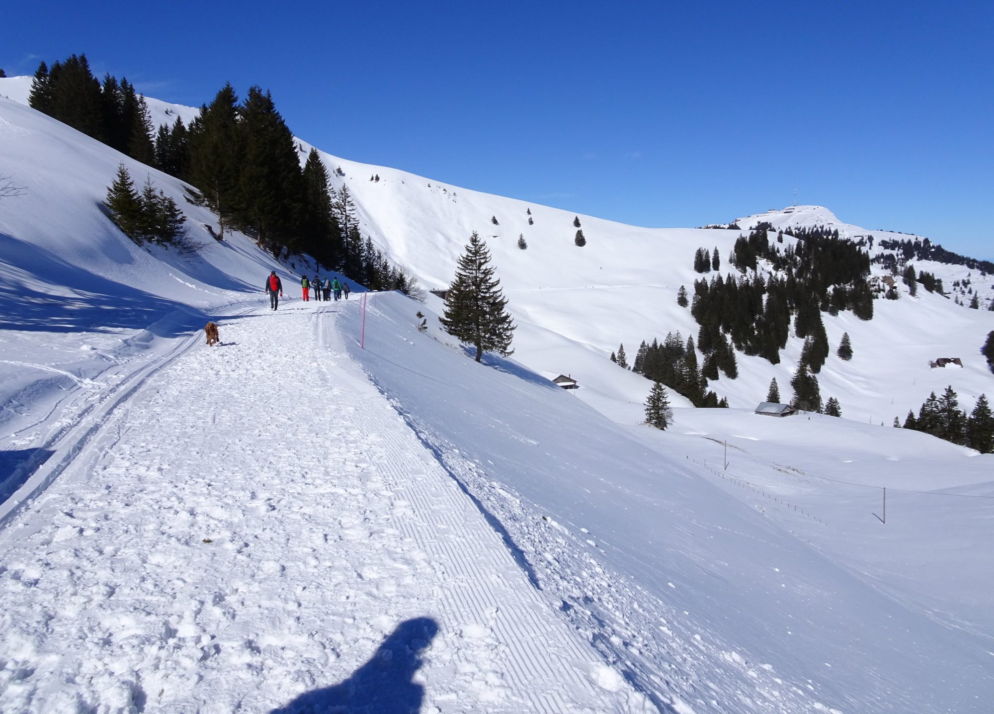 Schweiz, Luzern, Zürich, Rigi, Winterwanderung