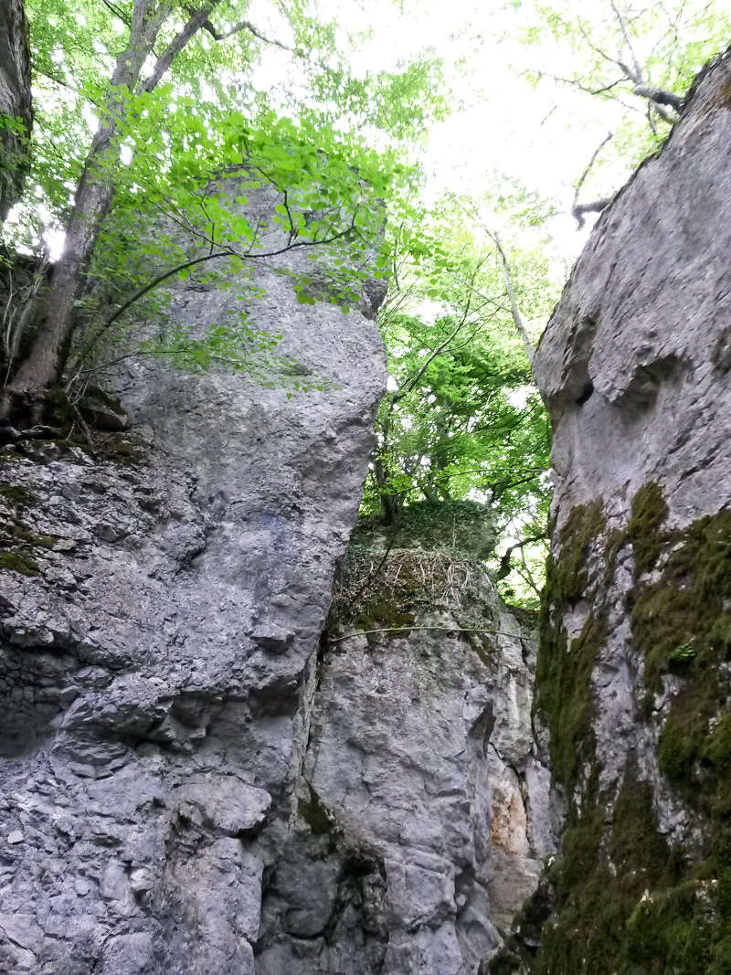 Schwäbische Alb, Rundwanderung, Gestütshof St. Johann, Höllenlöcher, Baden Württemberg