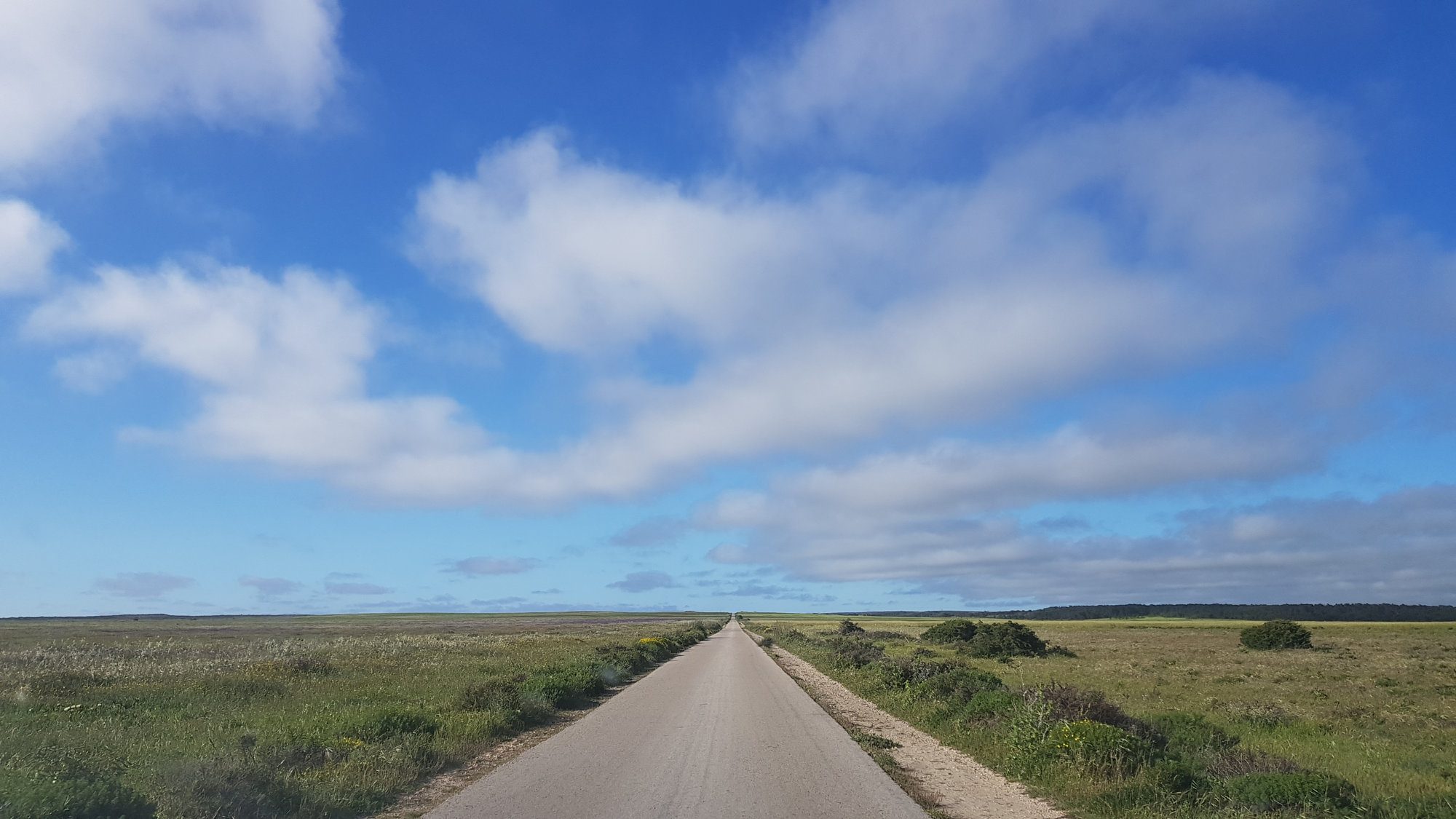 Carrapateira Portugal