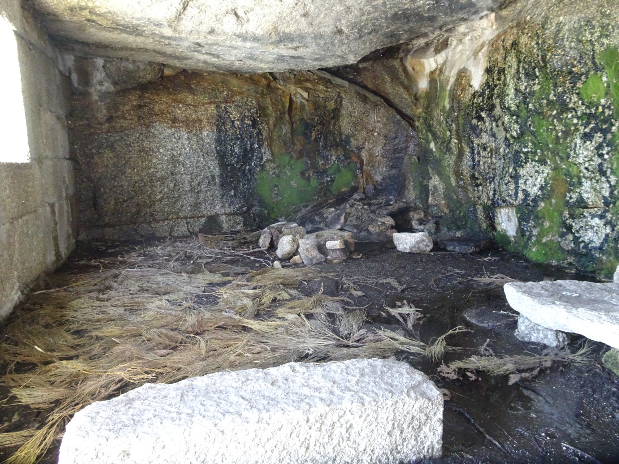 Carvão-Route, Wanderung, Rundwanderung, Serra da Estrella Portugal