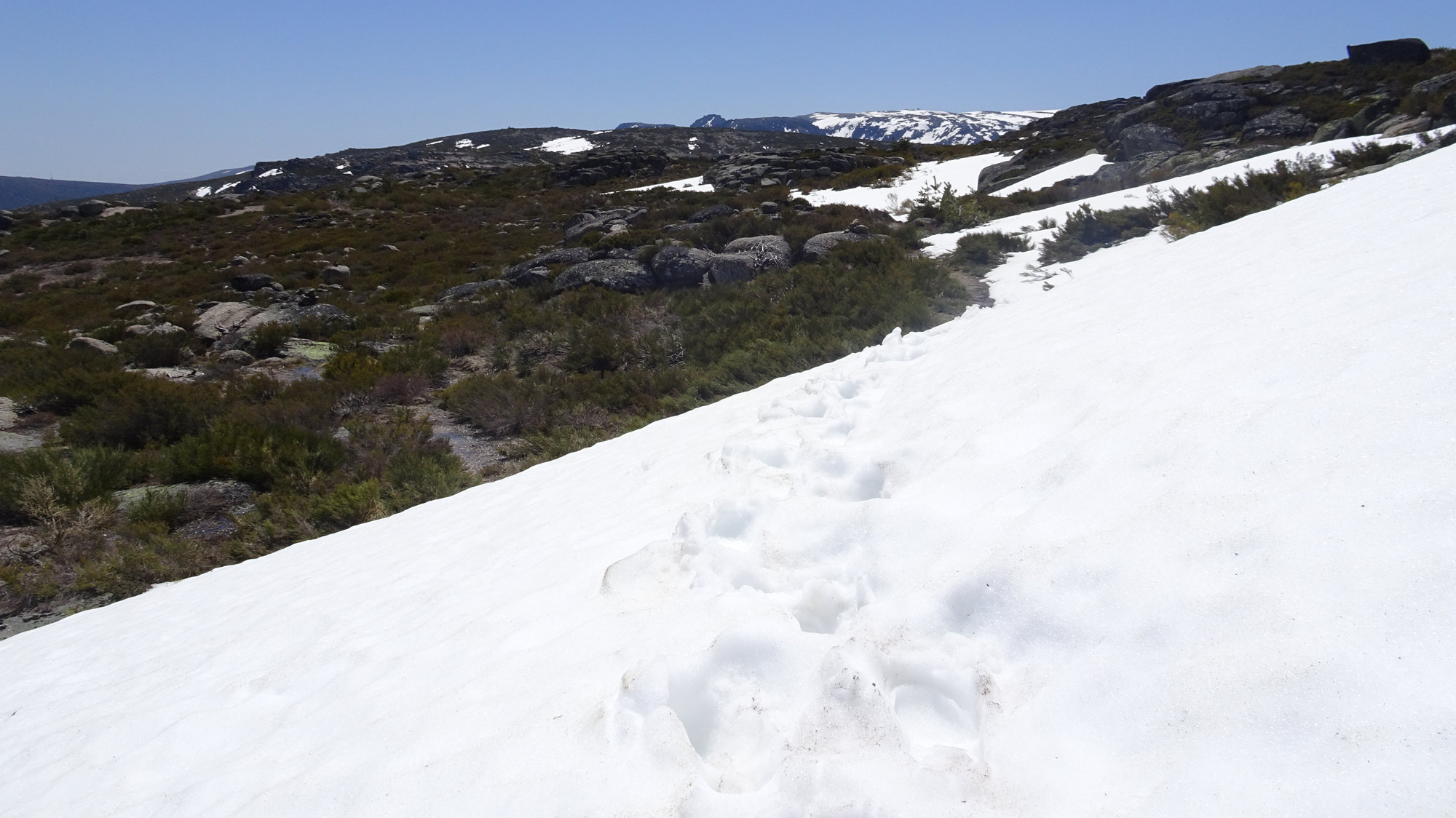 Carvão-Route, Wanderung, Rundwanderung, Serra da Estrella Portugal