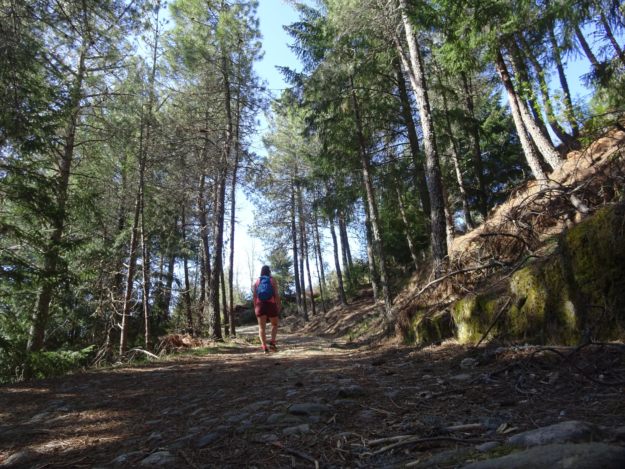 Carvão-Route, Wanderung, Rundwanderung, Serra da Estrella Portugal