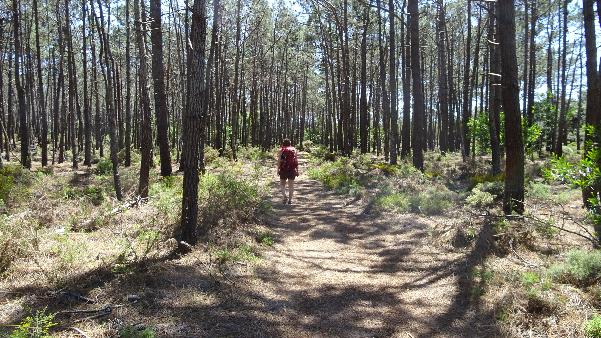 Fischerweg Portugal, Wandern, Küstenweg, Fischerpfad, Weitwandern