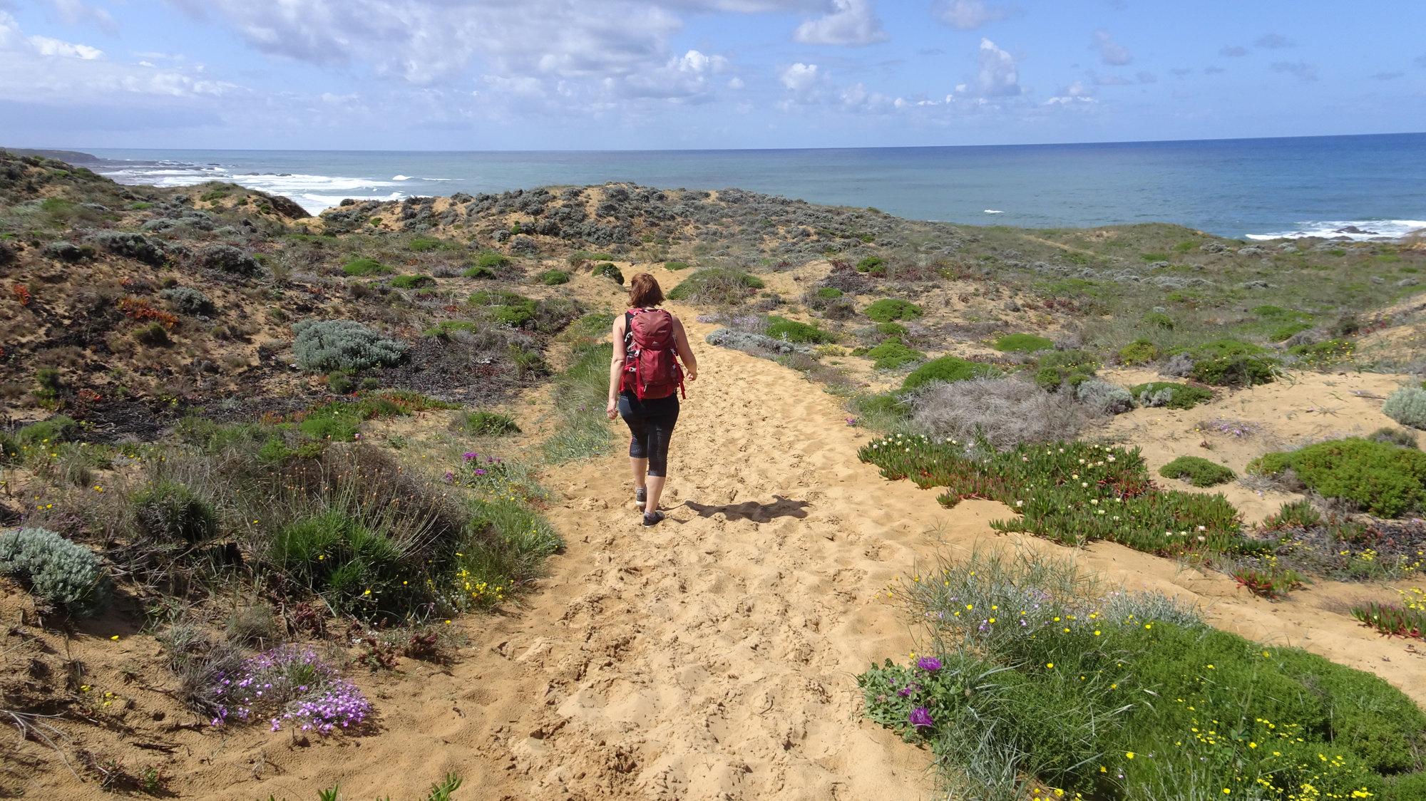 Fischerweg Portugal, Wandern, Küstenweg, Fischerpfad, Weitwandern
