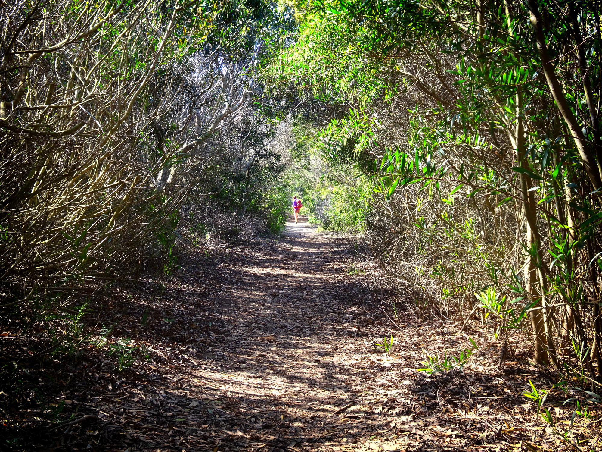Fischerweg Portugal, Wandern, Küstenweg, Fischerpfad, Weitwandern