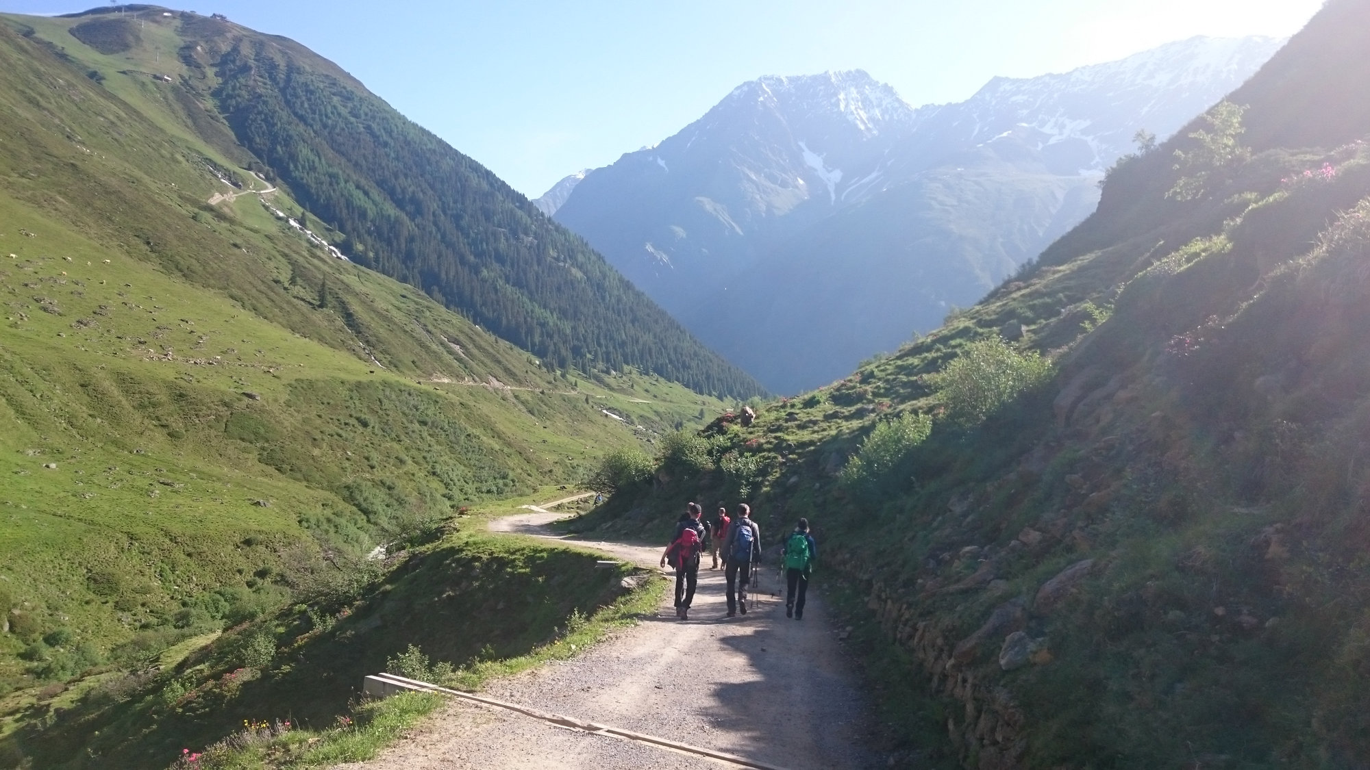 Gletscherkurs, Hochtour, Hochtourenkurs, Ausbildung, Bergsteigen, Gletscher, Kurs, Schulung, Pitztal, Taschachhaus, Fjella