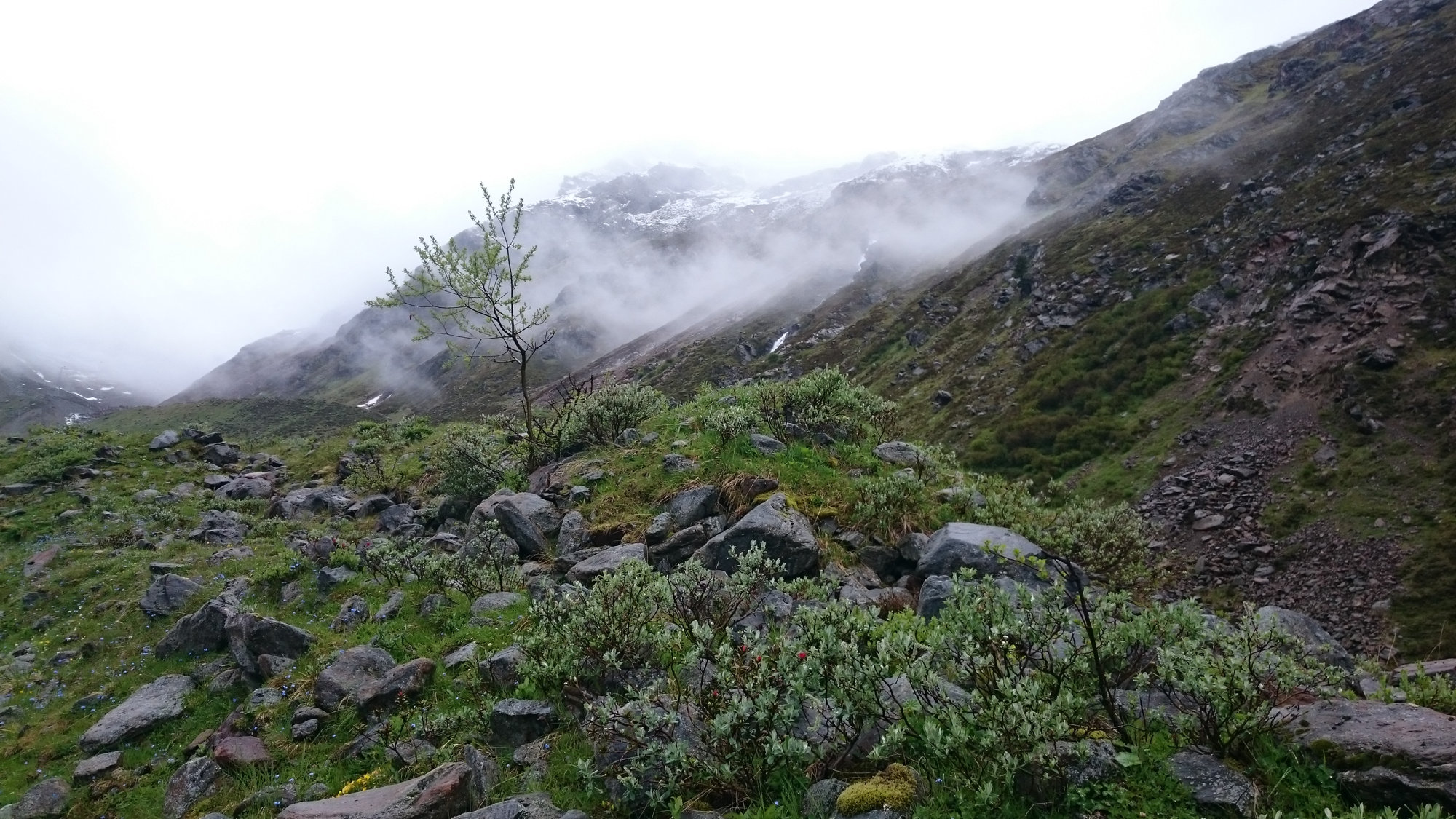 Gletscherkurs, Hochtour, Hochtourenkurs, Ausbildung, Bergsteigen, Gletscher, Kurs, Schulung, Pitztal, Taschachhaus, Fjella