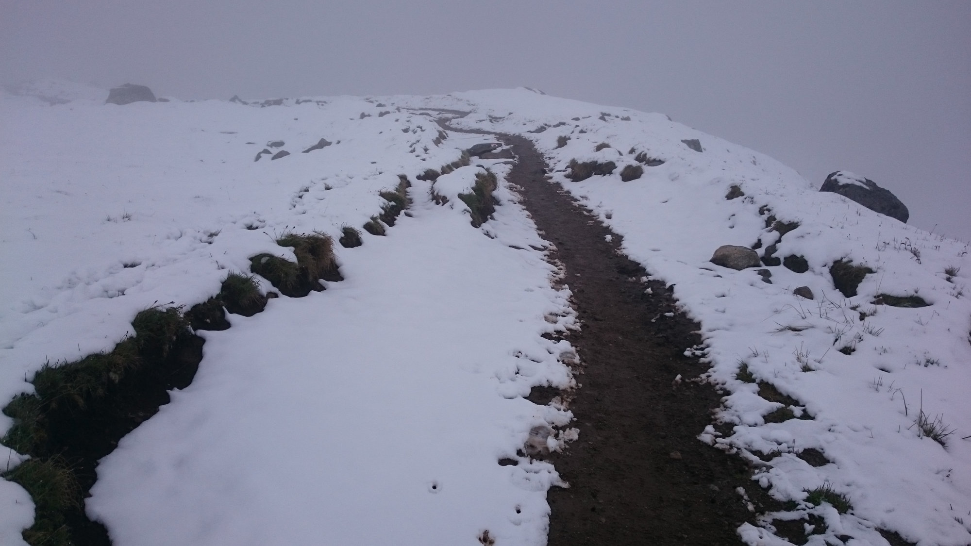 Gletscherkurs, Hochtour, Hochtourenkurs, Ausbildung, Bergsteigen, Gletscher, Kurs, Schulung, Pitztal, Taschachhaus, Fjella