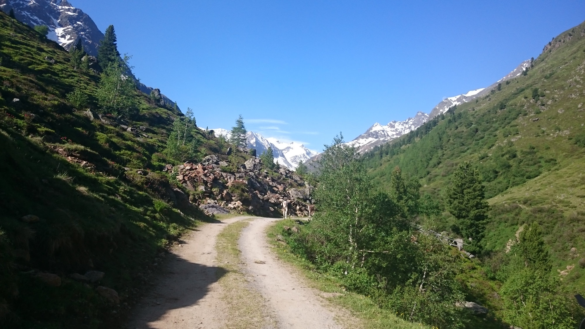 Gletscherkurs, Hochtour, Hochtourenkurs, Ausbildung, Bergsteigen, Gletscher, Kurs, Schulung, Pitztal, Taschachhaus, Fjella