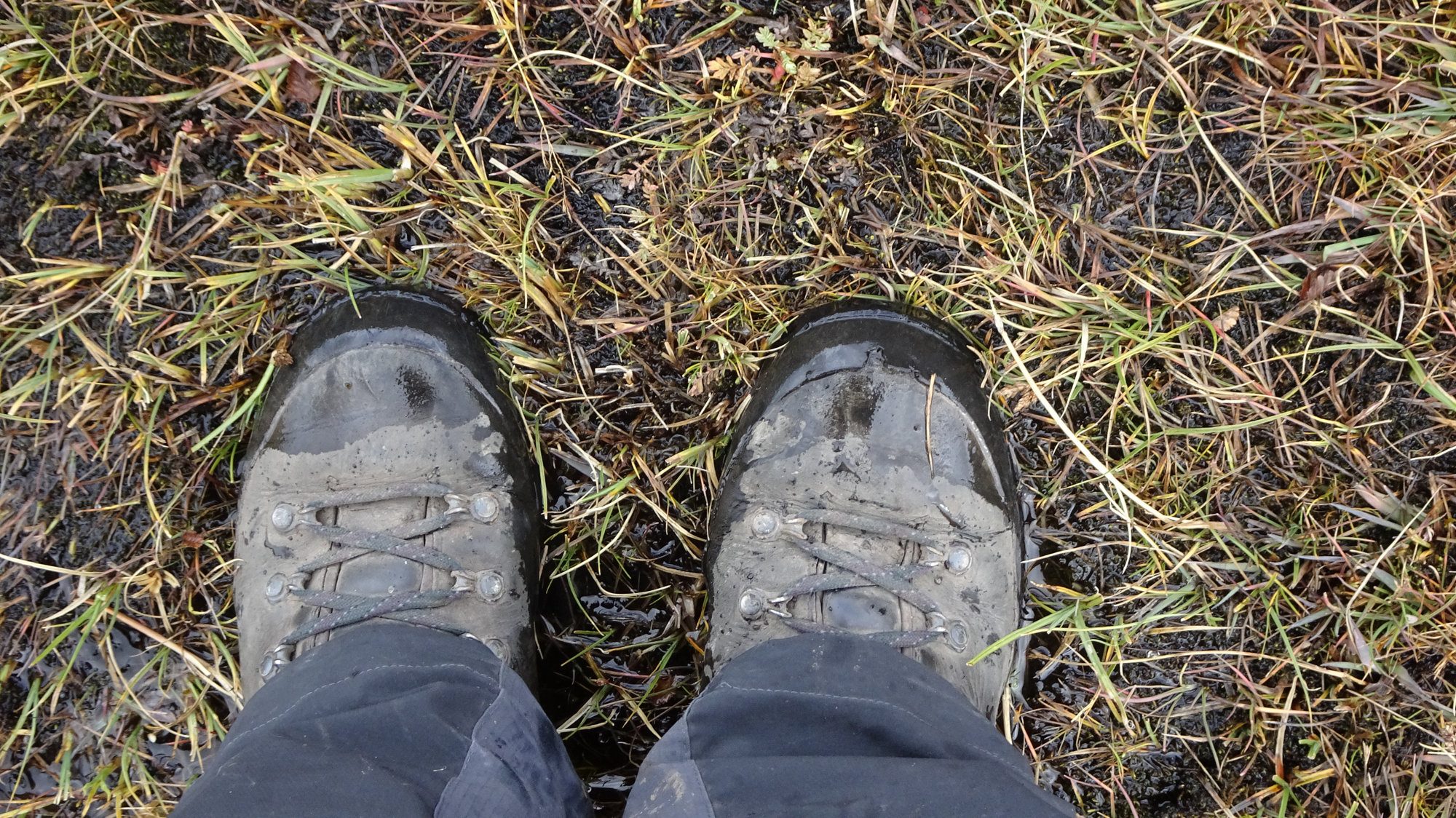 Feuchtgebiet auf dem Huemul Circuit, El Chaltén, Patagonien, Argentinien, Wanderung, Trekking