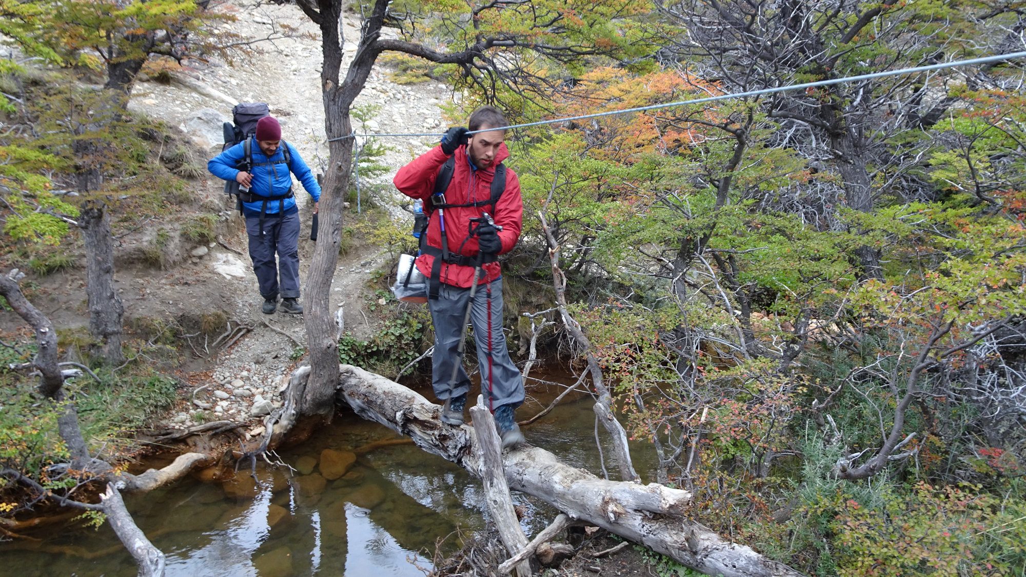 Flussüberquerung auf Baum, Huemul Circuit, El Chaltén, Patagonien, Argentinien, Wanderung, Trekking