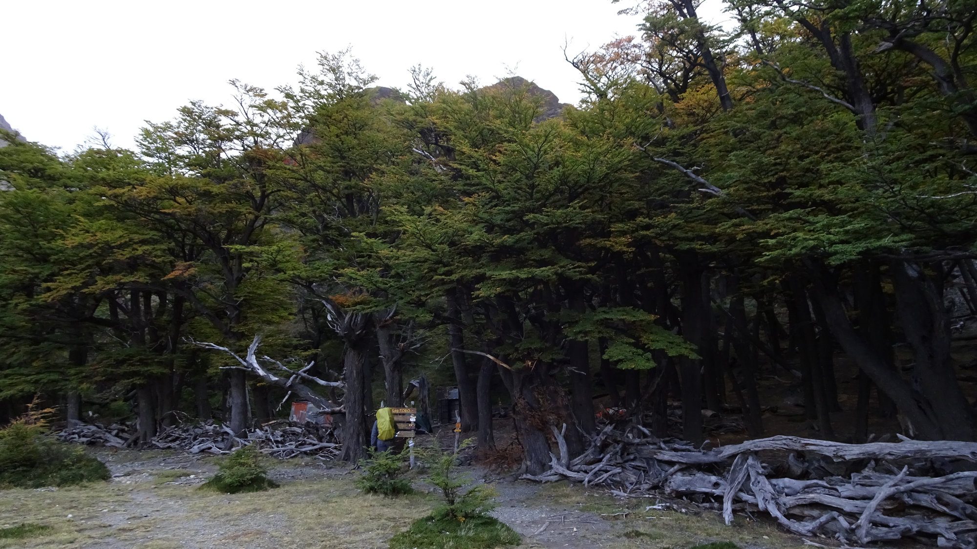 Laguna Toro Zeltplatz, Huemul Circuit, El Chaltén, Patagonien, Argentinien, Wanderung, Trekking