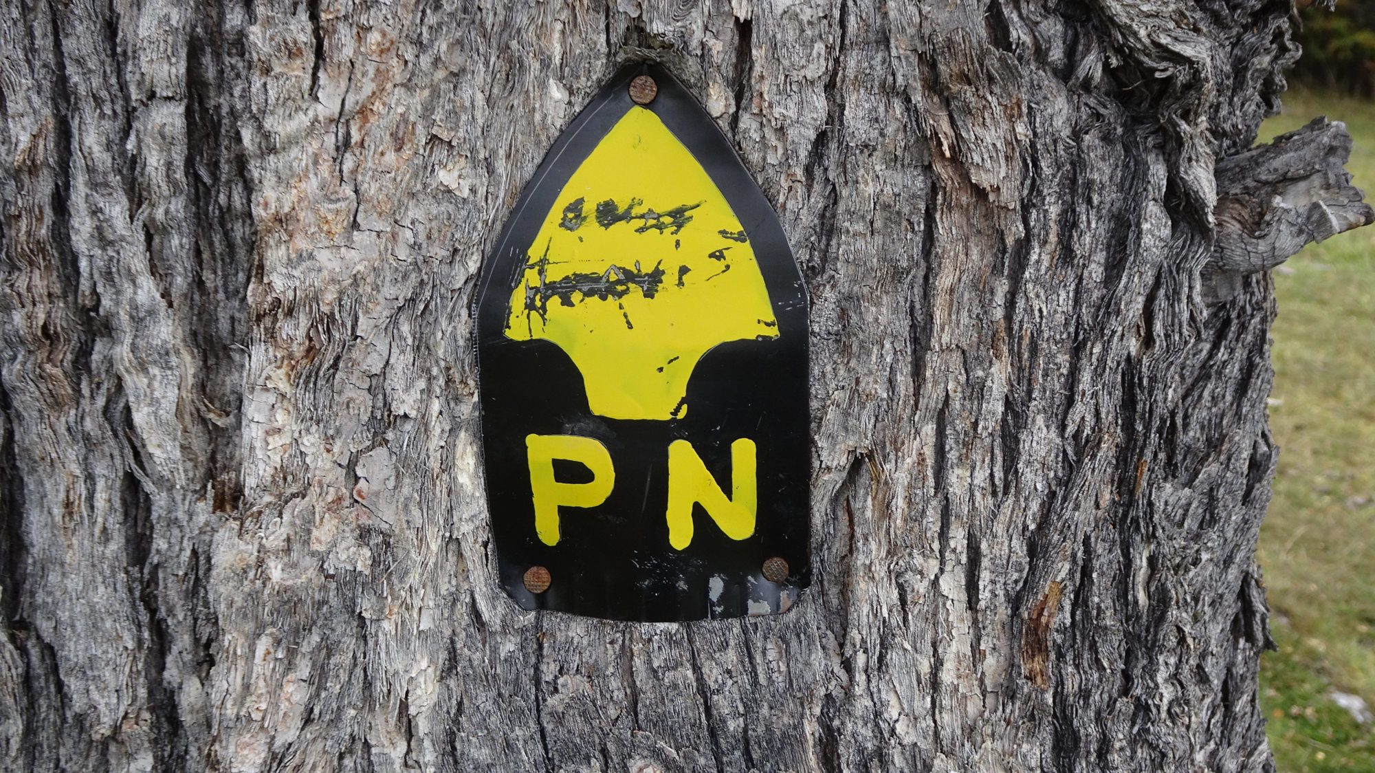 Wegmarkierung Huemul Circuit, El Chaltén, Patagonien, Argentinien, Wanderung, Trekking