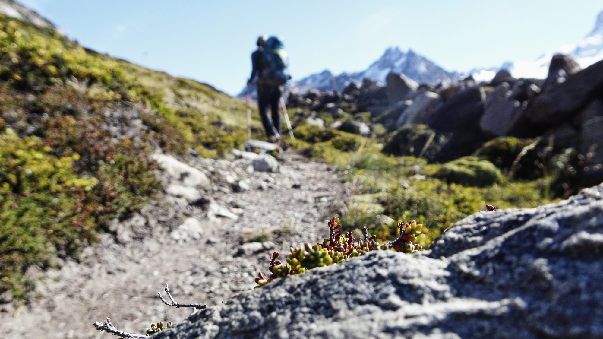 Huemul Circuit, El Chaltén, Patagonien, Argentinien, Wanderung, Trekking