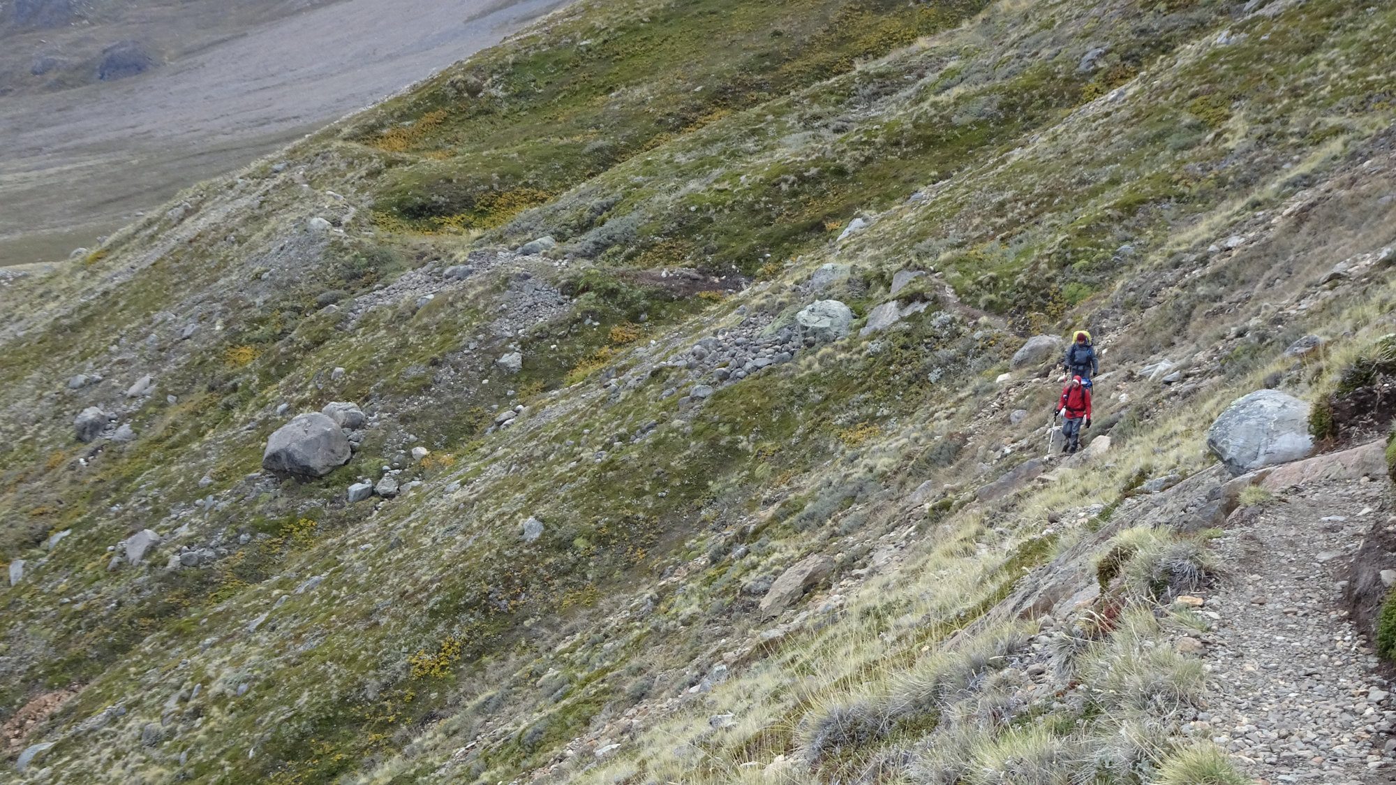 Huemul Circuit, El Chaltén, Patagonien, Argentinien, Wanderung, Trekking