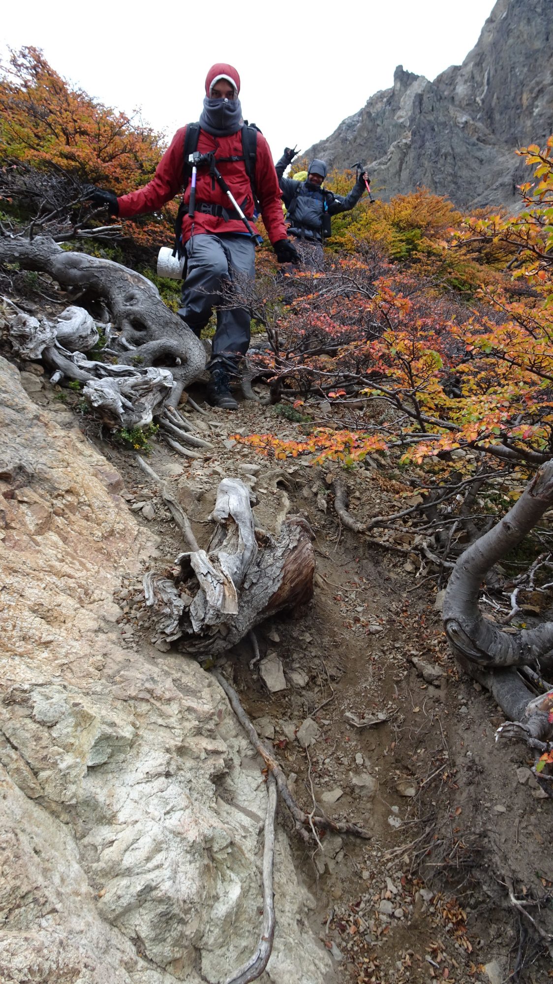 Huemul Circuit, El Chaltén, Patagonien, Argentinien, Wanderung, Trekking