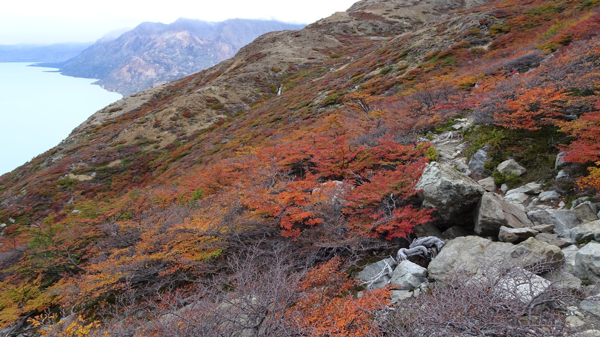 Huemul Circuit, El Chaltén, Patagonien, Argentinien, Wanderung, Trekking