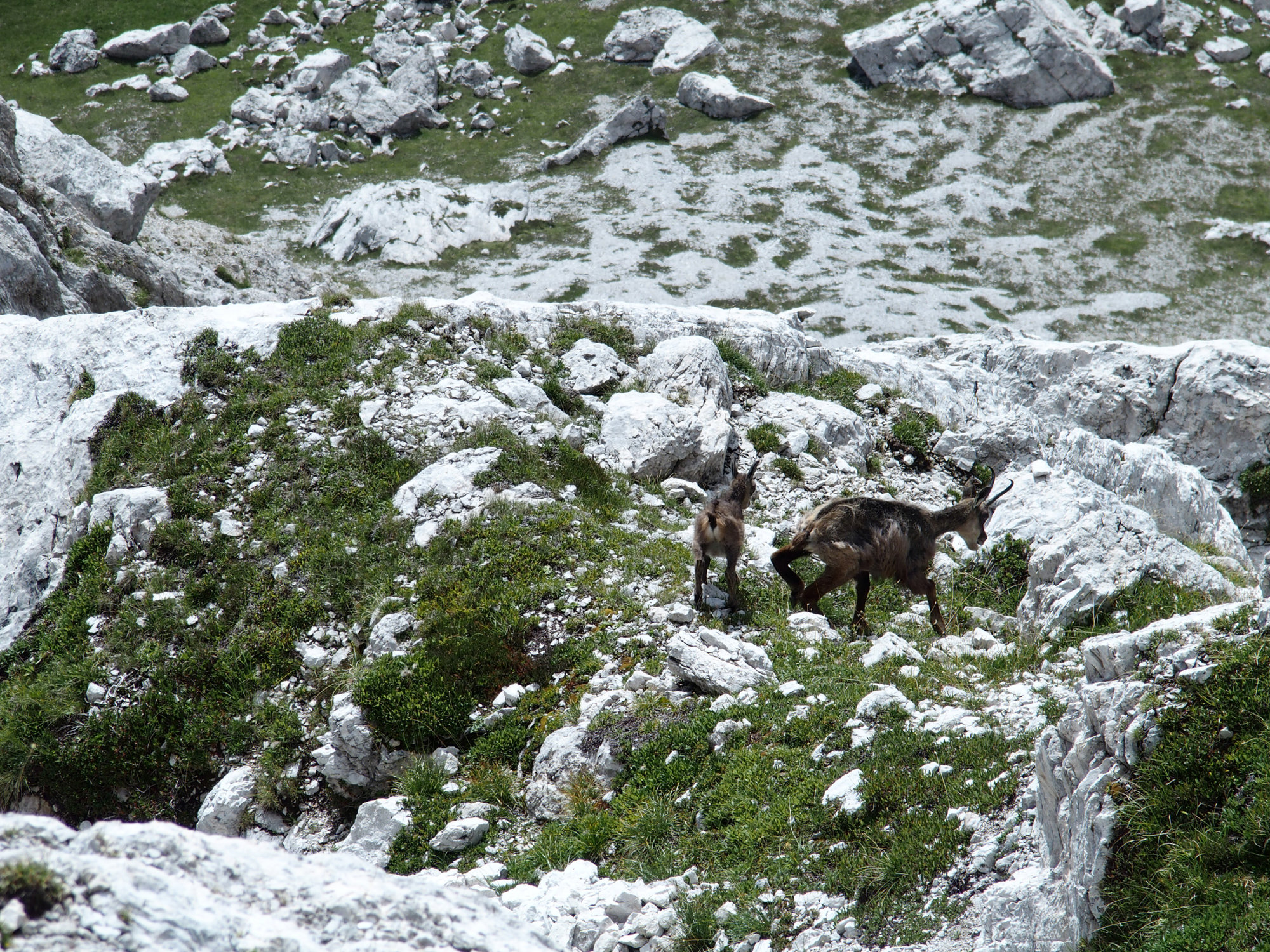 Brenta, Klettersteig, Dolomiten