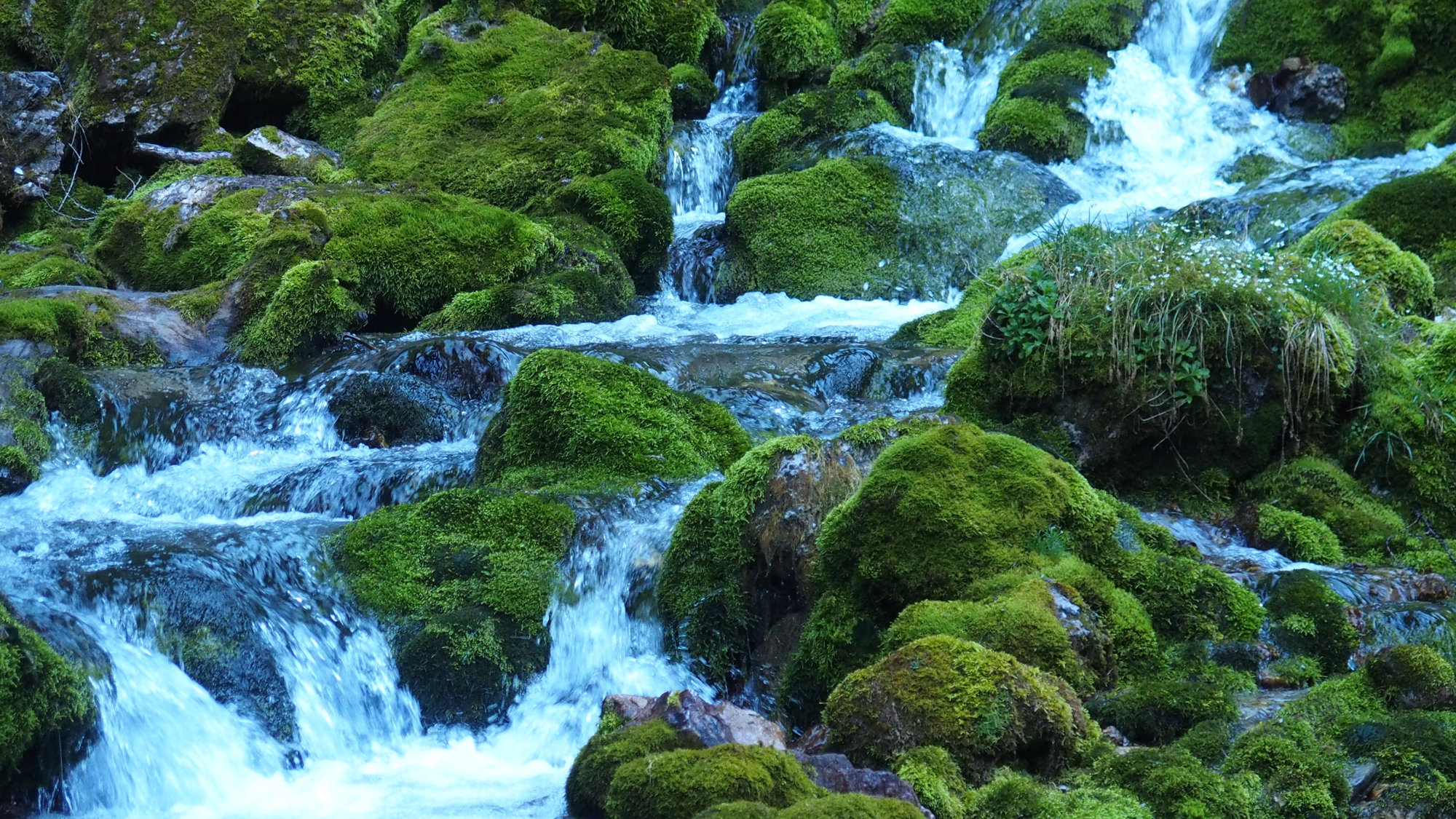 Vallesinella Wasserfälle, Brenta, Klettersteig, Dolomiten