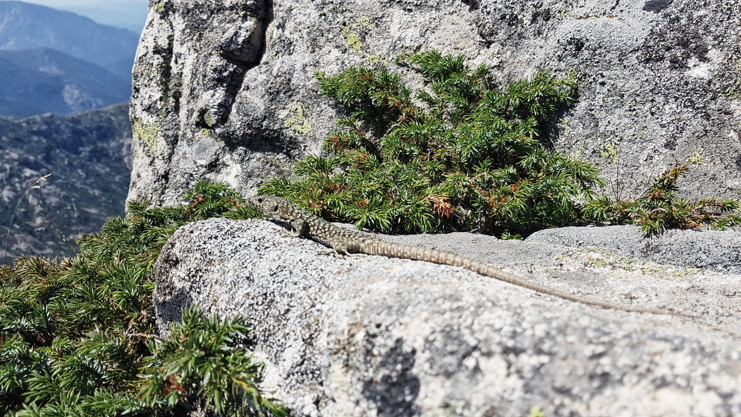 Korsika, GR20 Weitwanderweg, Wandern, Berge, Frankreich