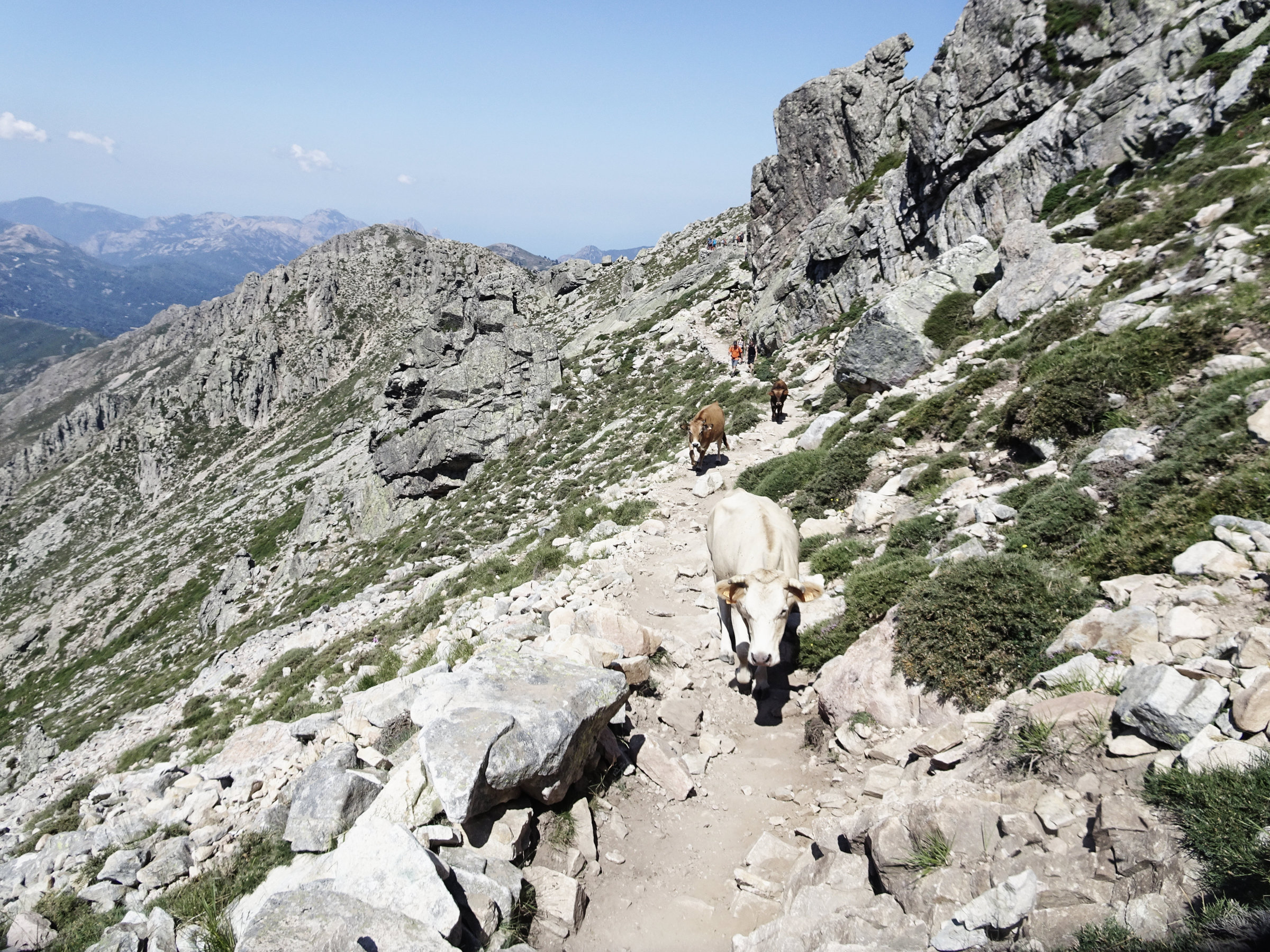 Korsika, GR20 Weitwanderweg, Wandern, Berge, Frankreich