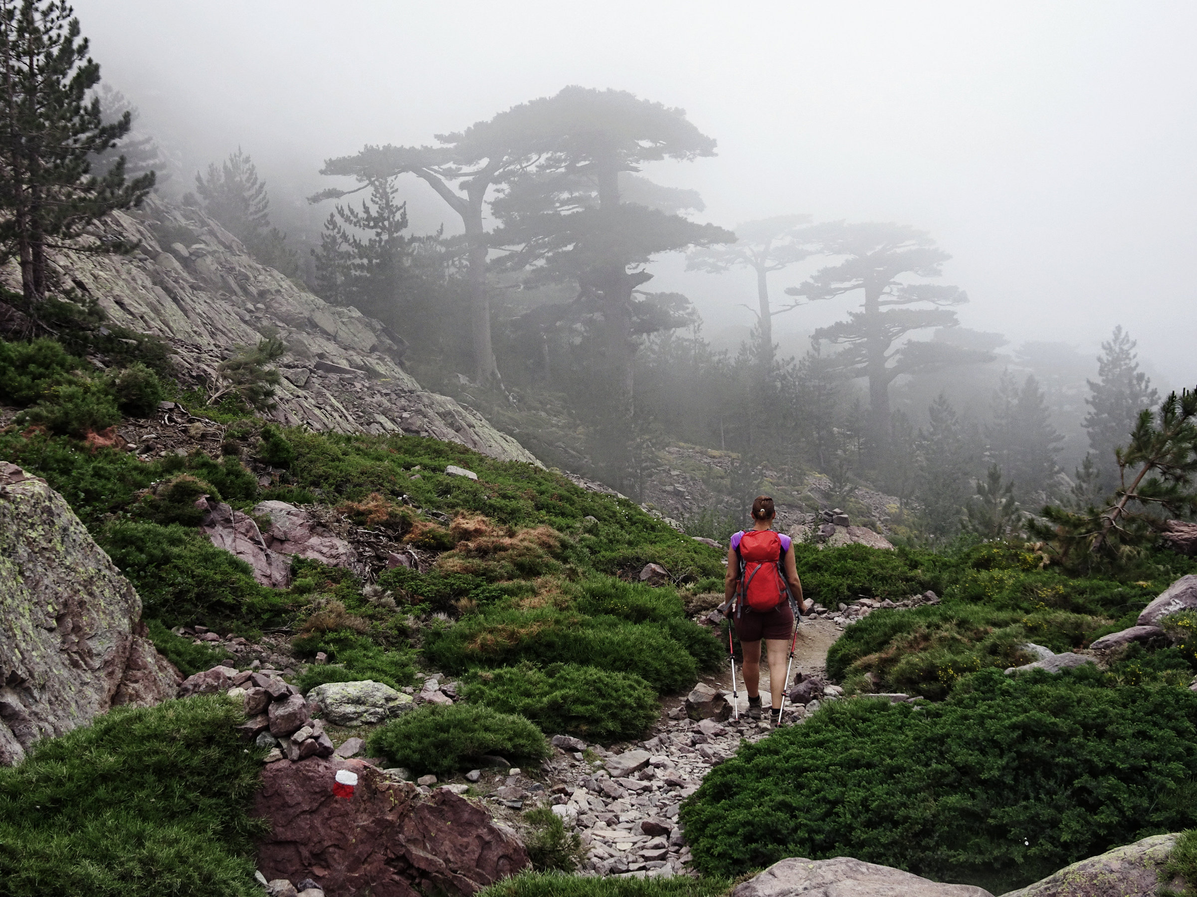 Korsika, GR20 Weitwanderweg, Wandern, Berge, Frankreich