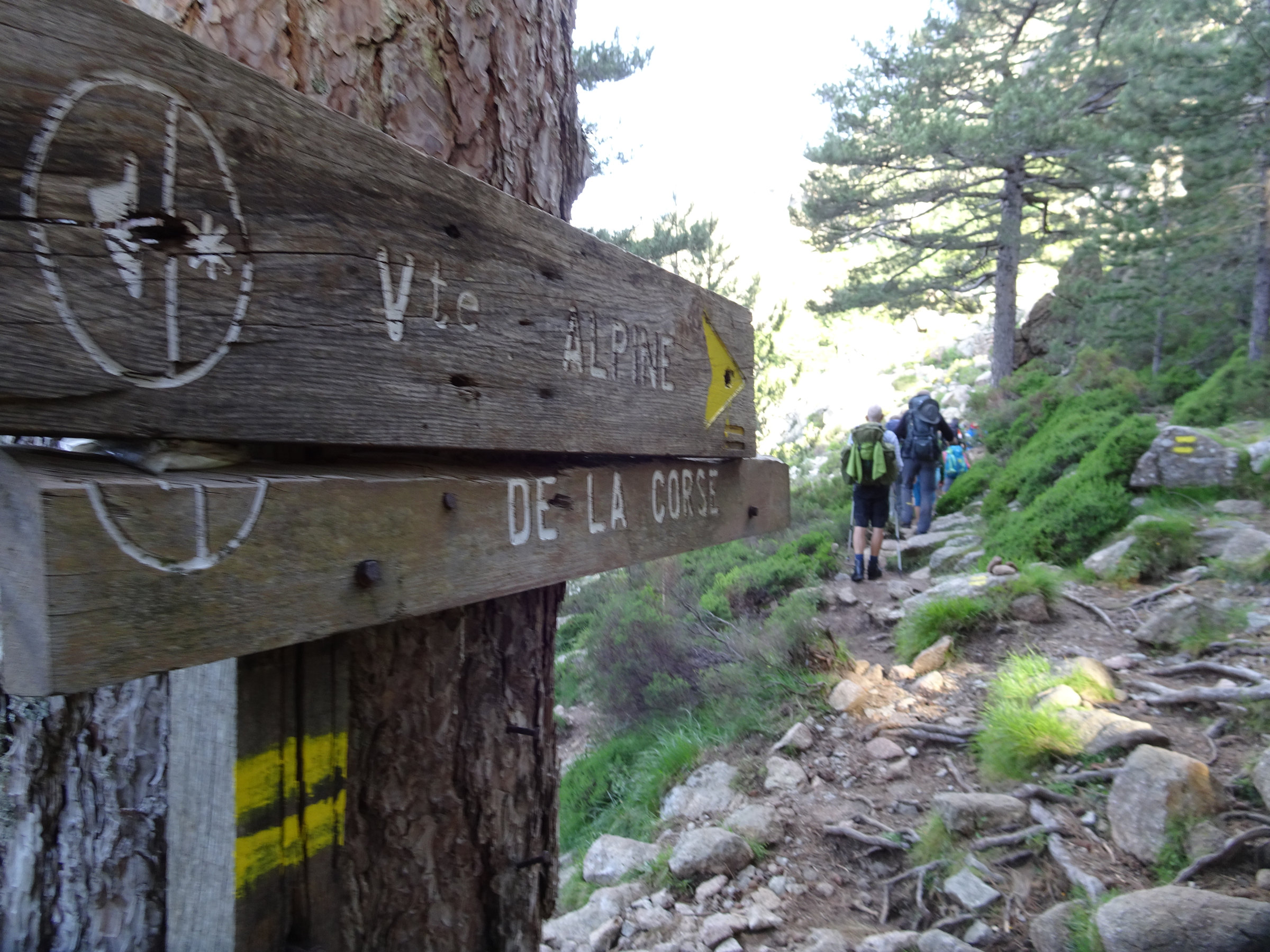 Gelb markierte alpine Alternative zum GR20, Korsika, GR20 Weitwanderweg, Wandern, Berge, Frankreich