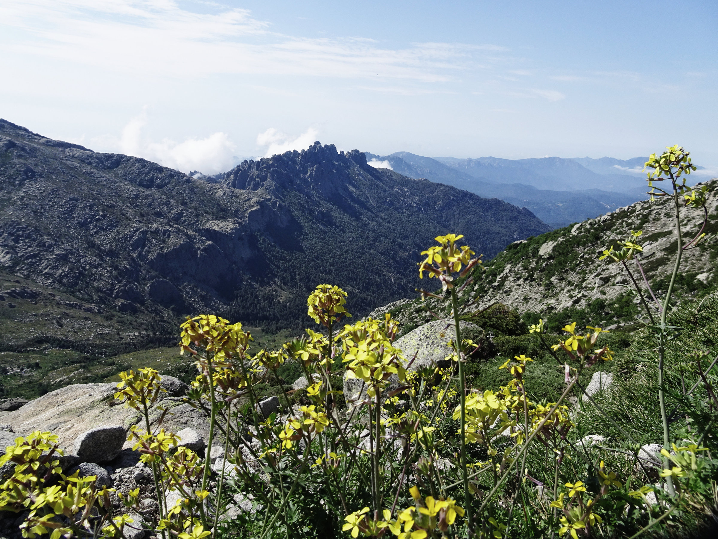 Korsika, GR20 Weitwanderweg, Wandern, Berge, Frankreich