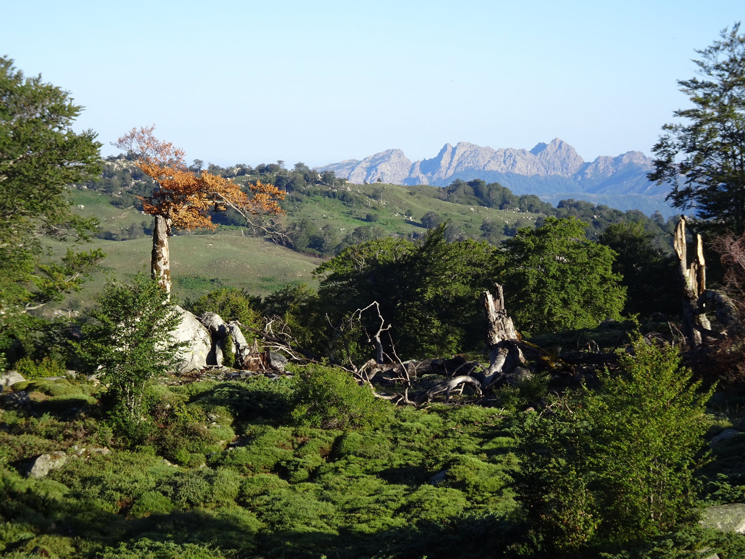 Wunderschönes Licht am Morgen auf dem GR20, Korsika, GR20 Weitwanderweg, Wandern, Berge, Frankreich