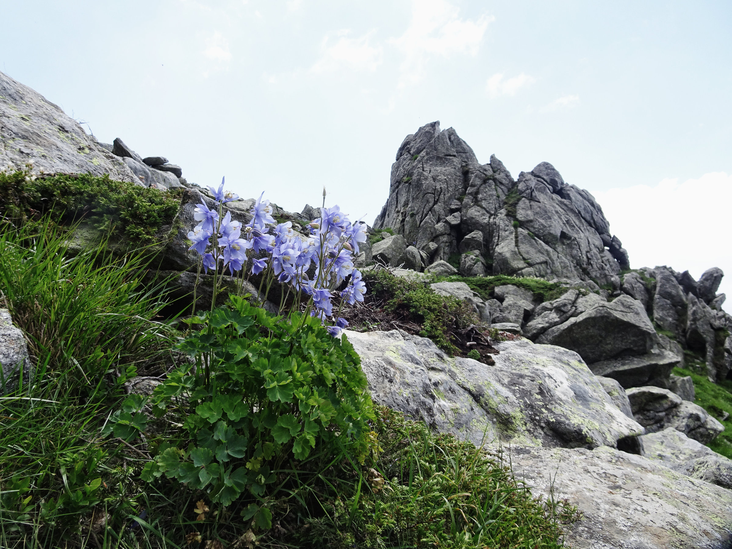 Korsika, GR20 Weitwanderweg, Wandern, Berge, Frankreich
