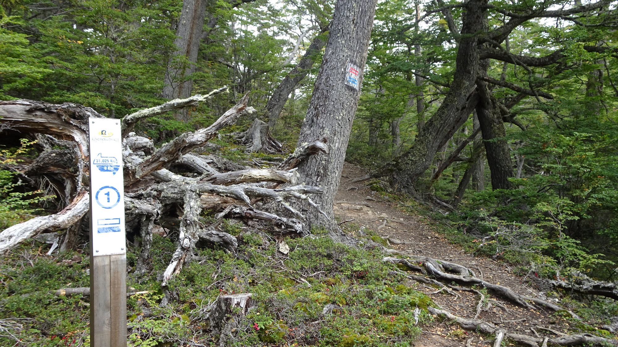 Circuito Dientes, Isla Navarino, Chile, Trekking, Wanderung