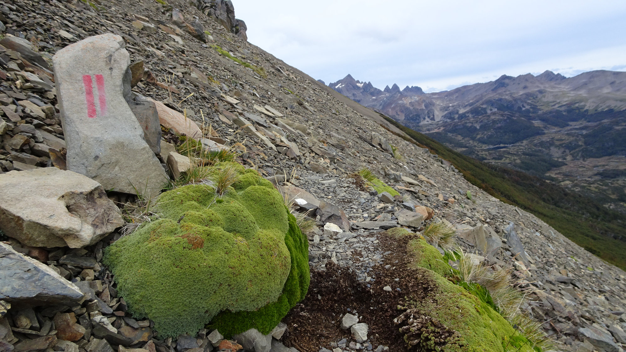 Circuito Dientes, Isla Navarino, Chile, Trekking, Wanderung