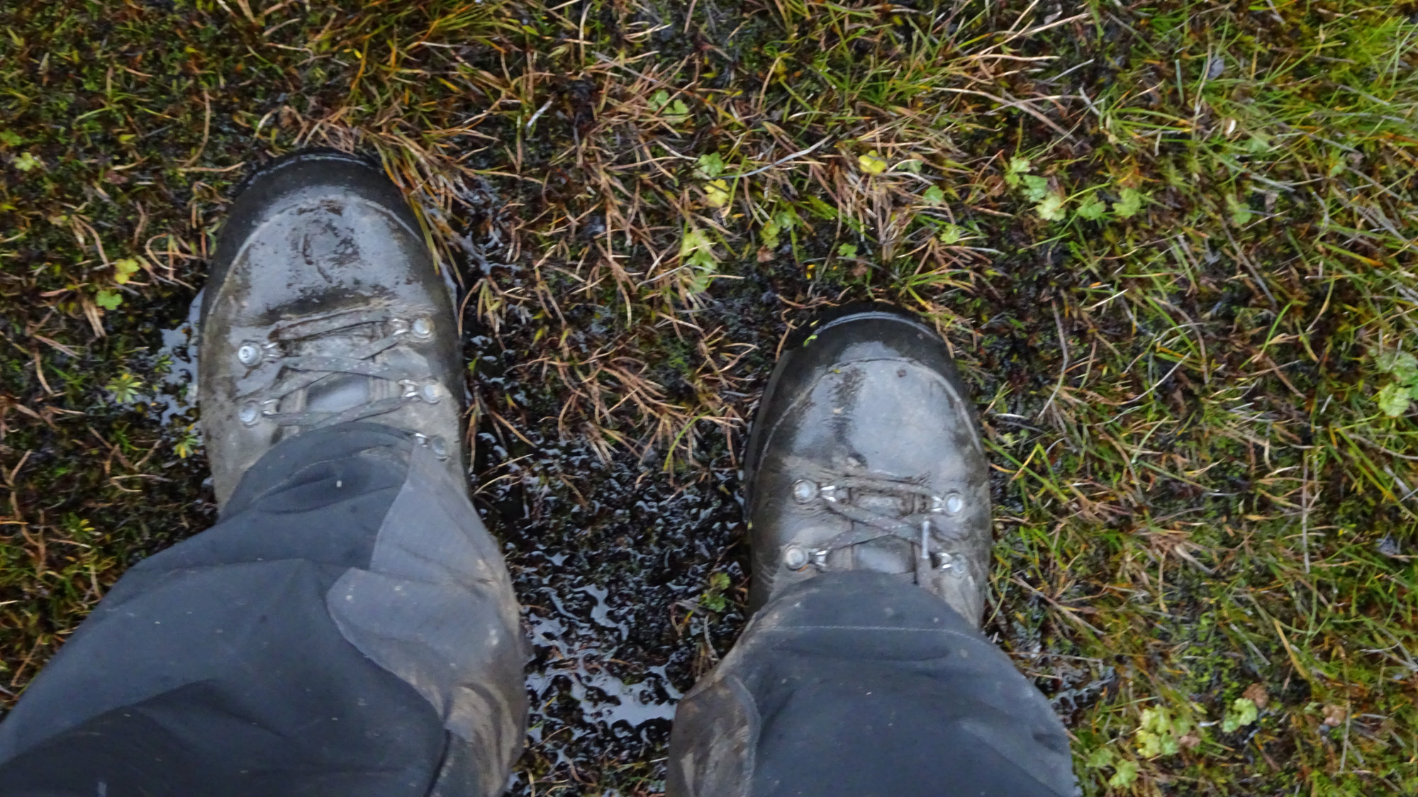 Circuito Dientes, Isla Navarino, Chile, Trekking, Wanderung