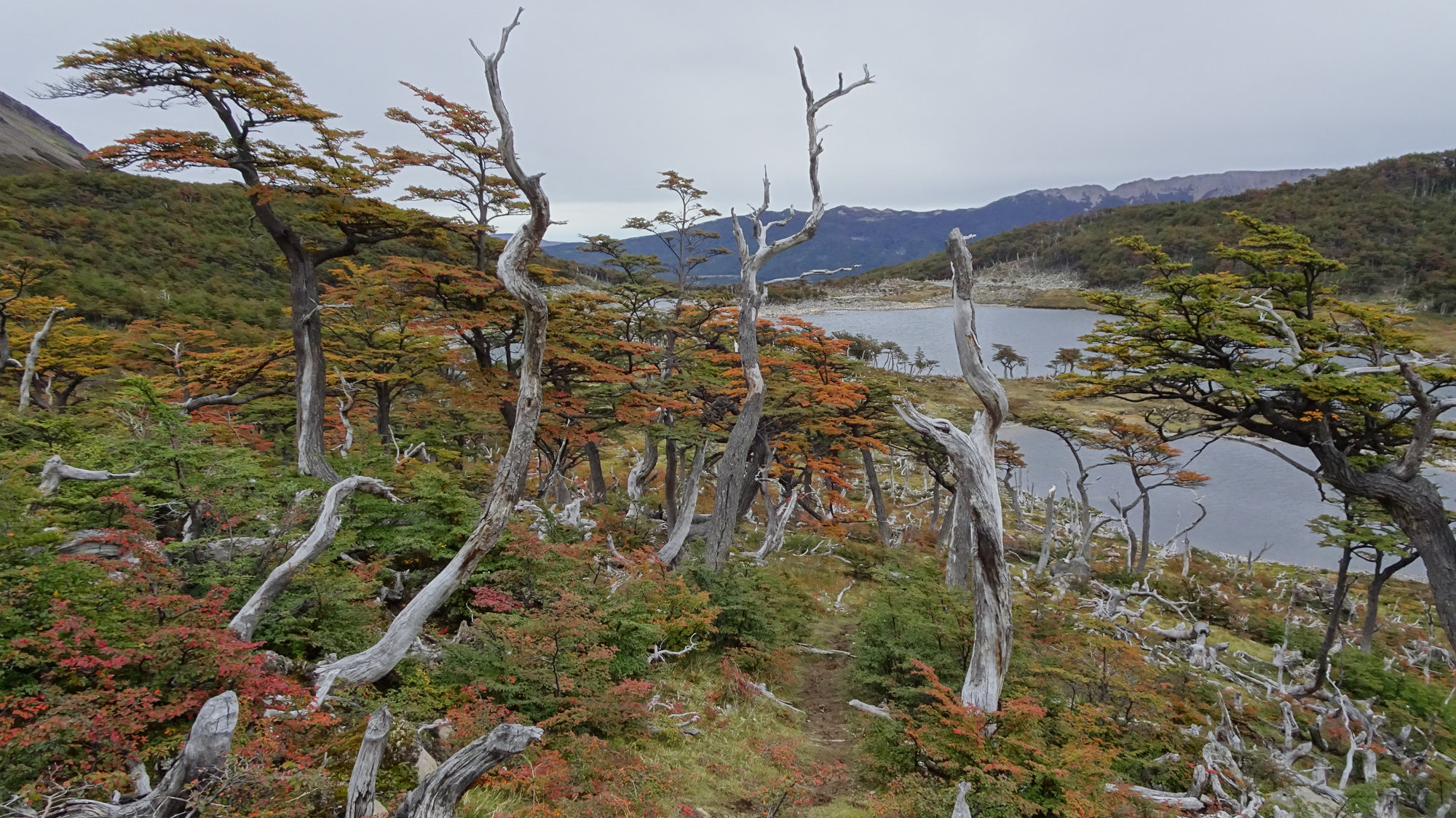 Circuito Dientes, Isla Navarino, Chile, Trekking, Wanderung