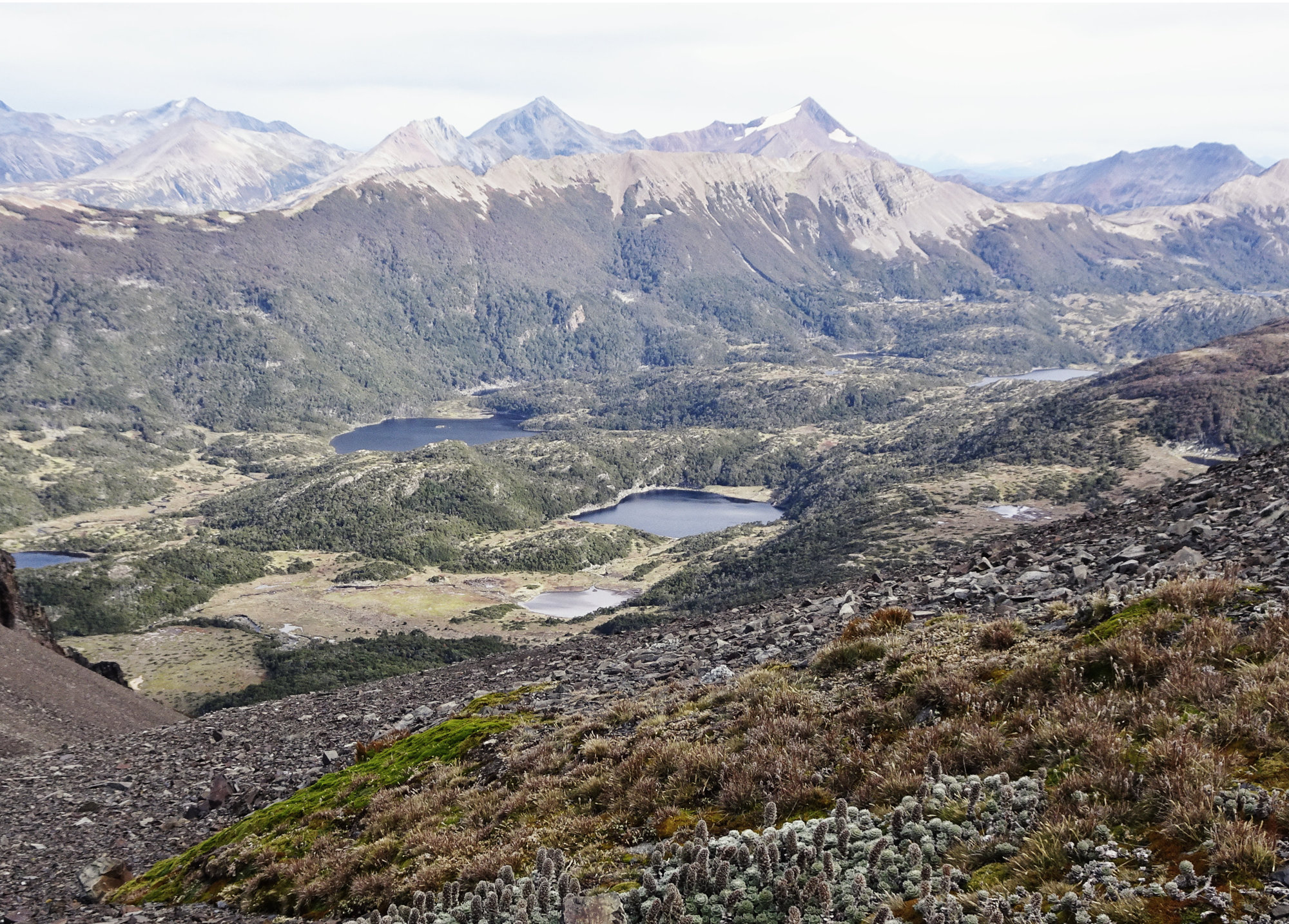 Circuito Dientes, Isla Navarino, Chile, Trekking, Wanderung