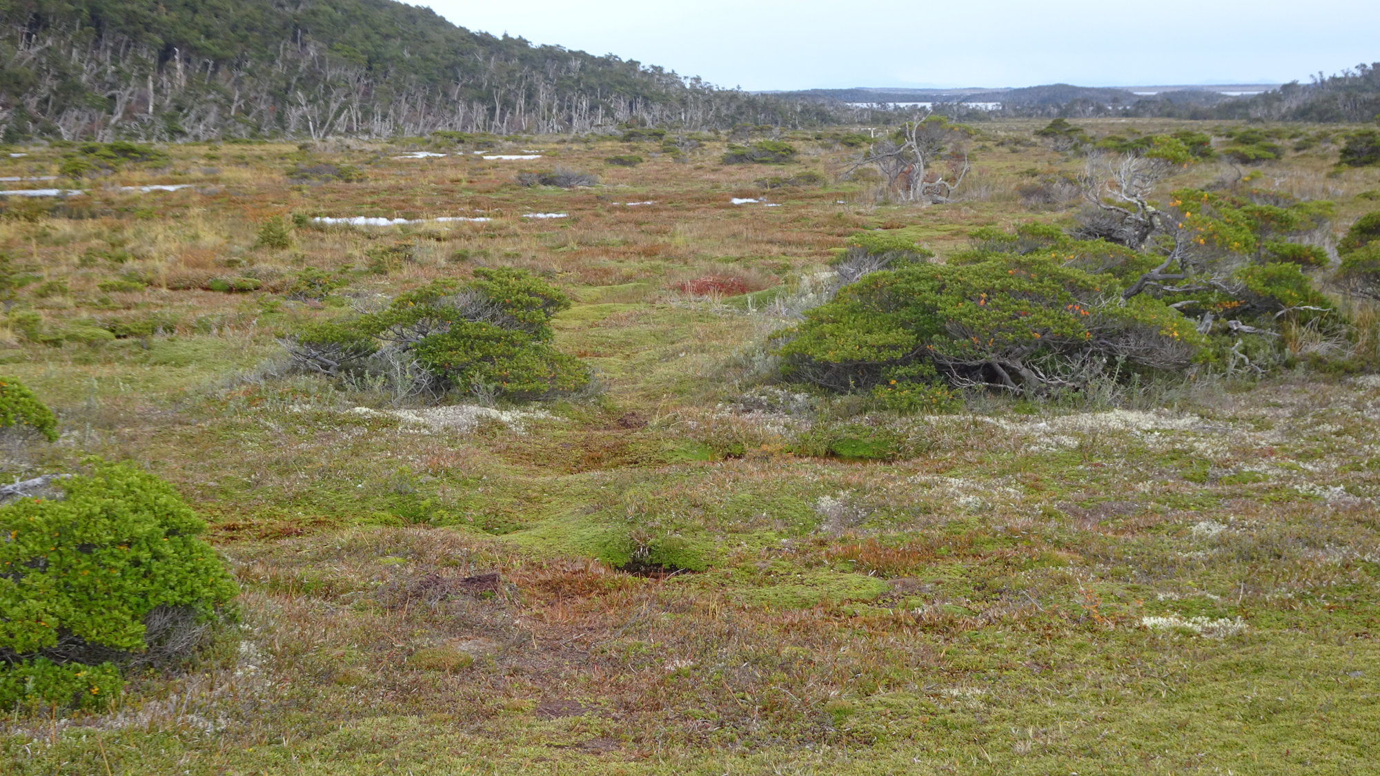 Circuito Dientes, Isla Navarino, Chile, Trekking, Wanderung