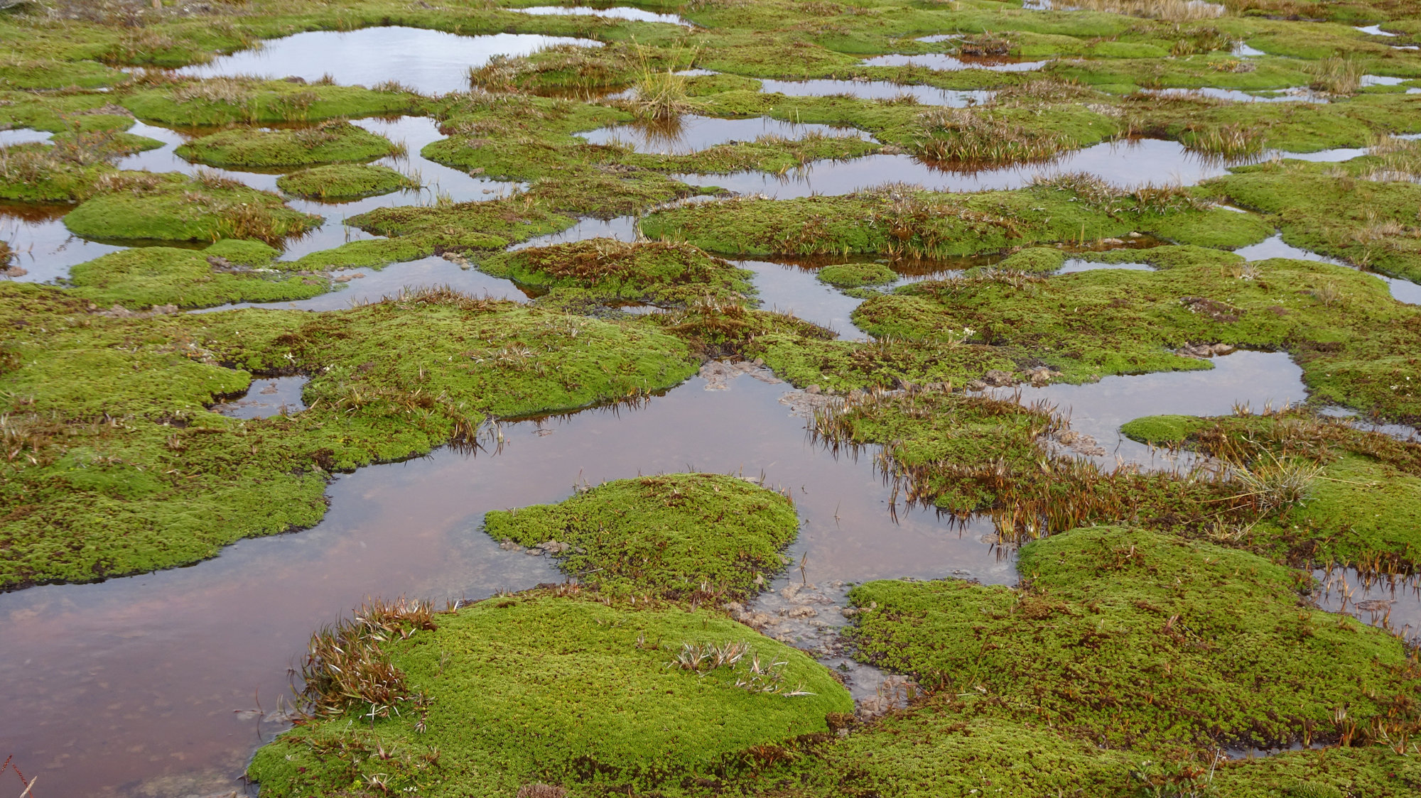 Circuito Dientes, Isla Navarino, Chile, Trekking, Wanderung