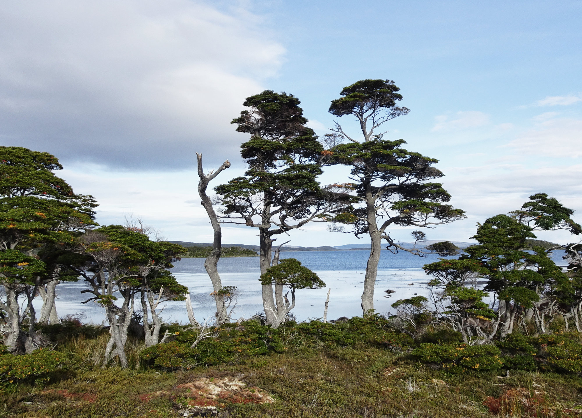 Circuito Dientes, Isla Navarino, Chile, Trekking, Wanderung