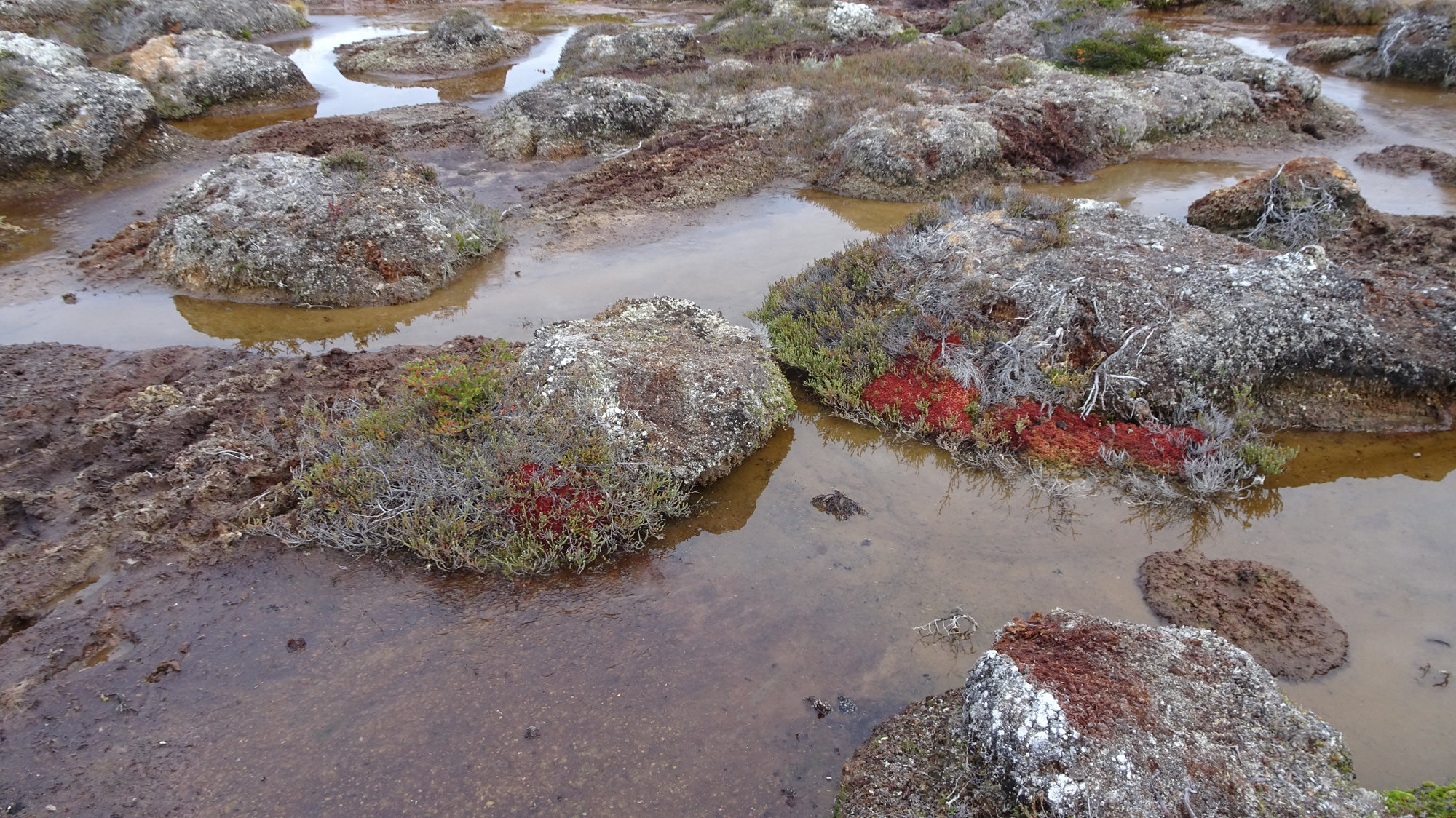 Circuito Dientes, Isla Navarino, Chile, Trekking, Wanderung