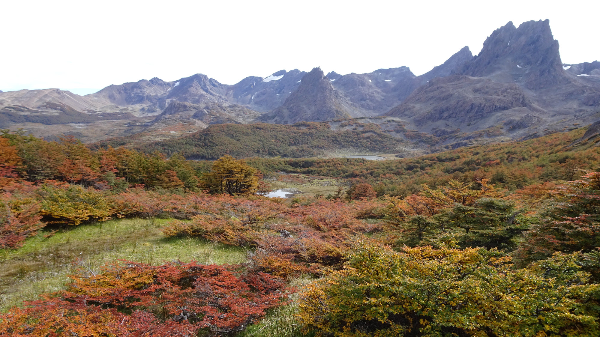 Circuito Dientes, Isla Navarino, Chile, Trekking, Wanderung