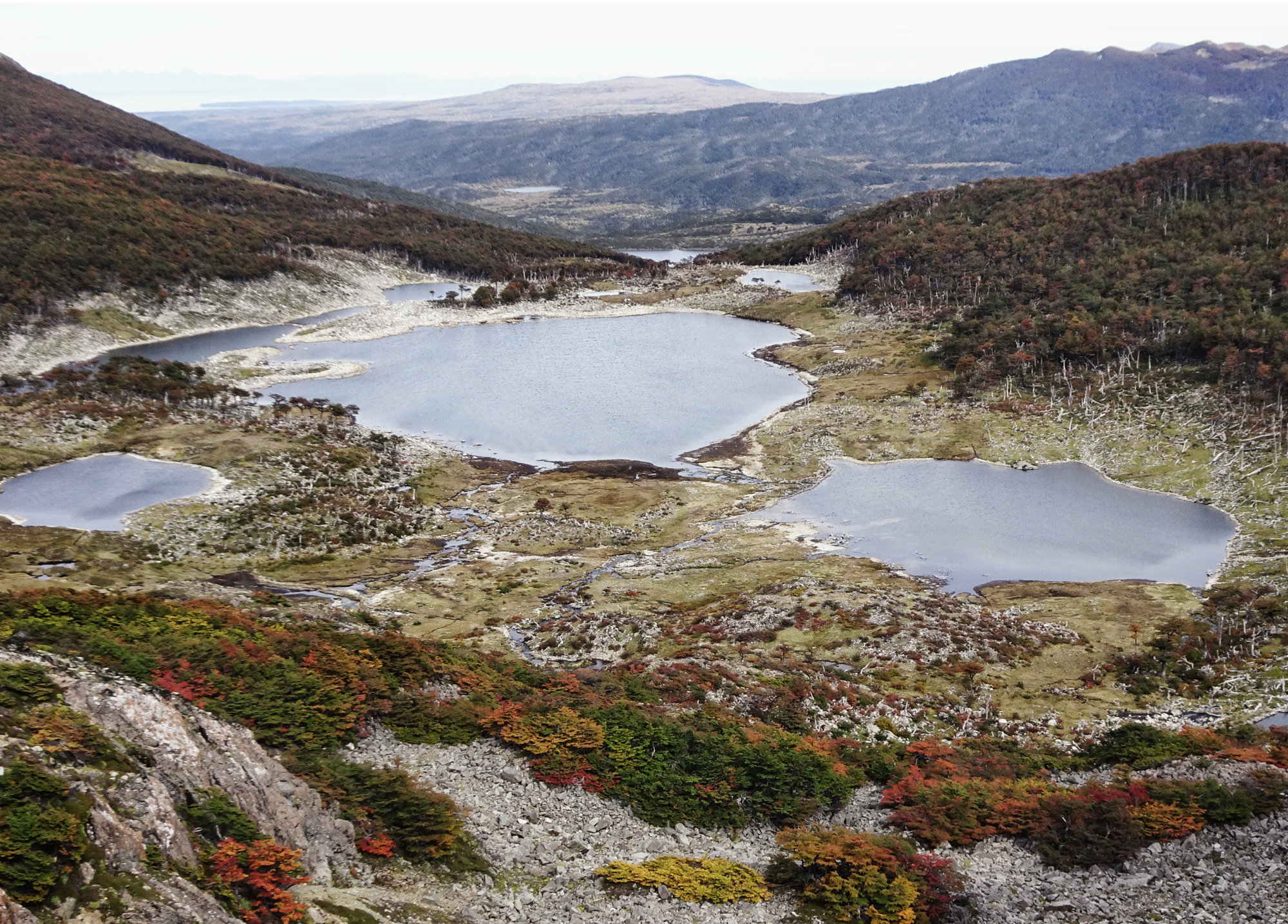 Circuito Dientes, Isla Navarino, Chile, Trekking, Wanderung