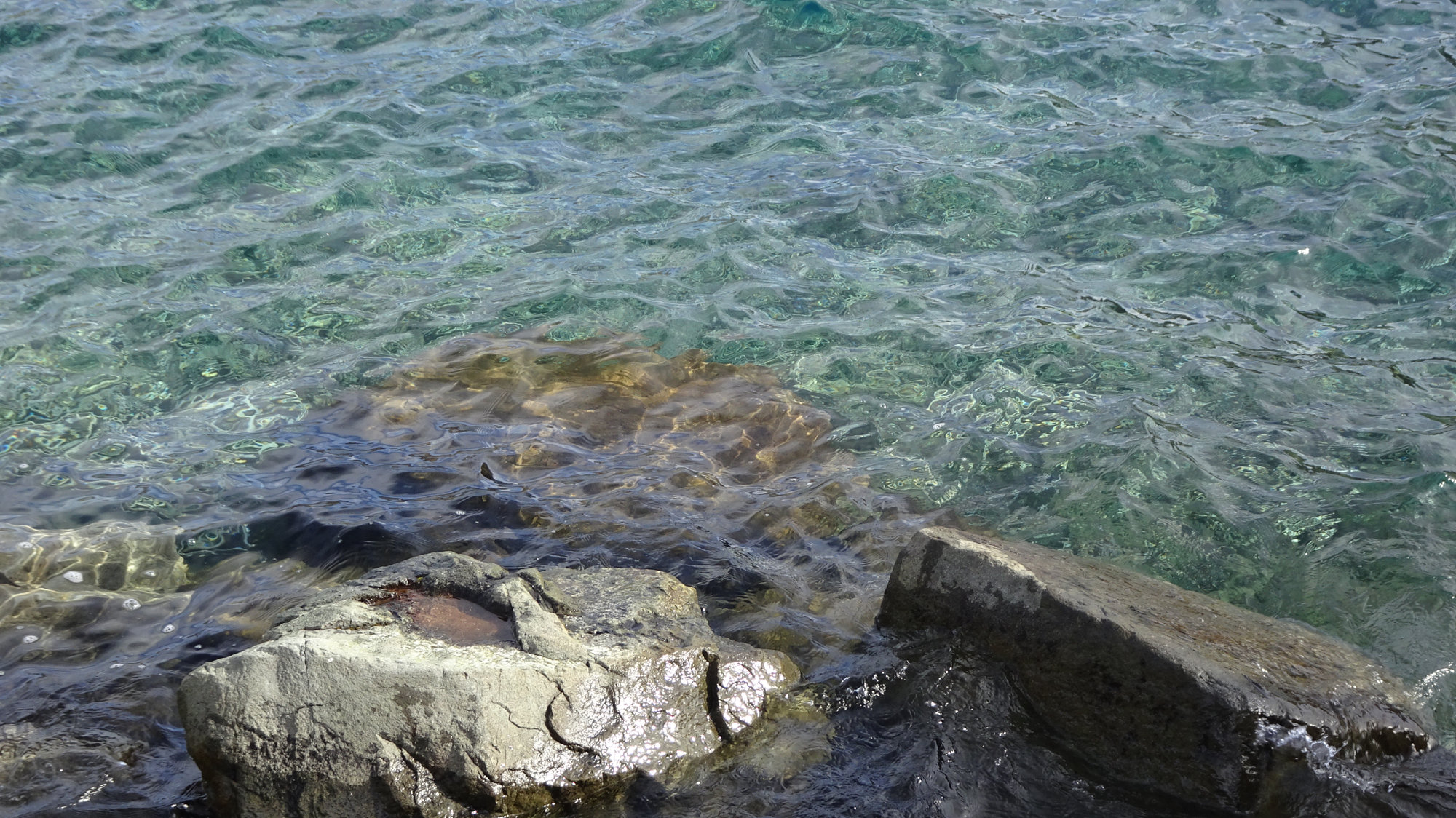 Circuito Dientes, Isla Navarino, Chile, Trekking, Wanderung