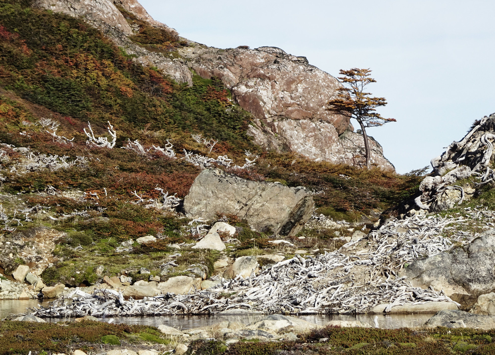 Circuito Dientes, Isla Navarino, Chile, Trekking, Wanderung