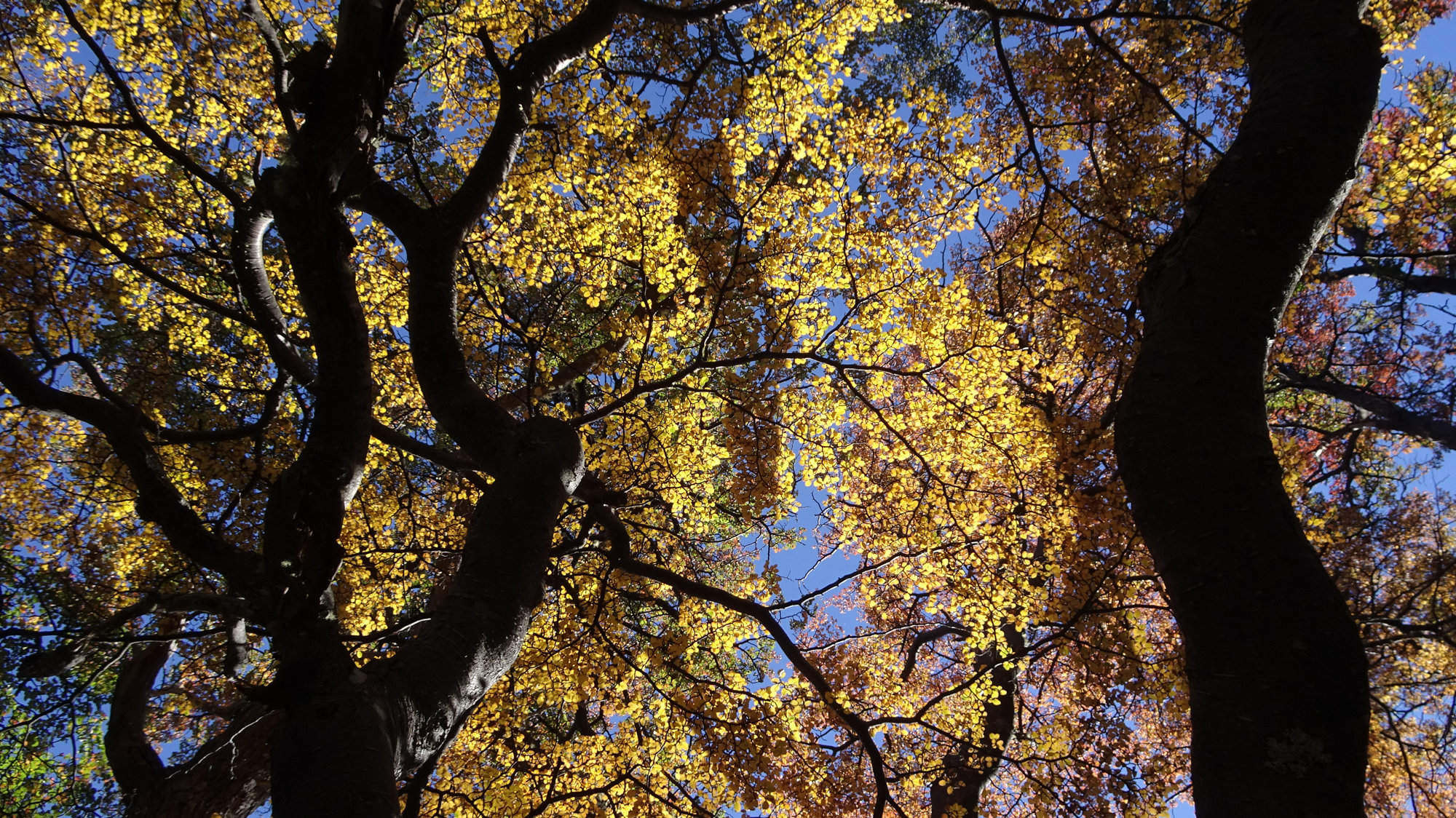 Circuito Dientes, Isla Navarino, Chile, Trekking, Wanderung
